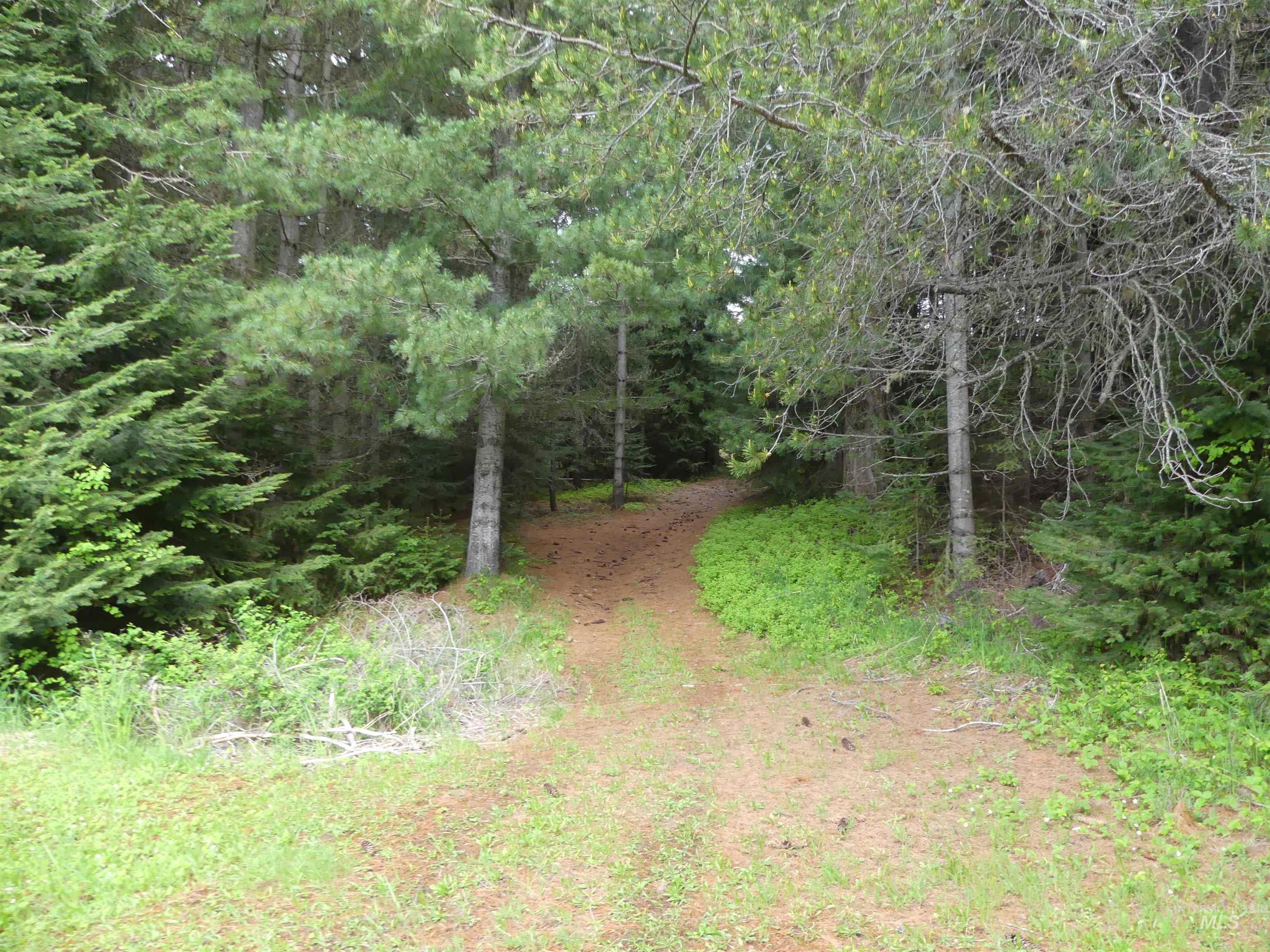 36975 Highway 11 Property Photo 9