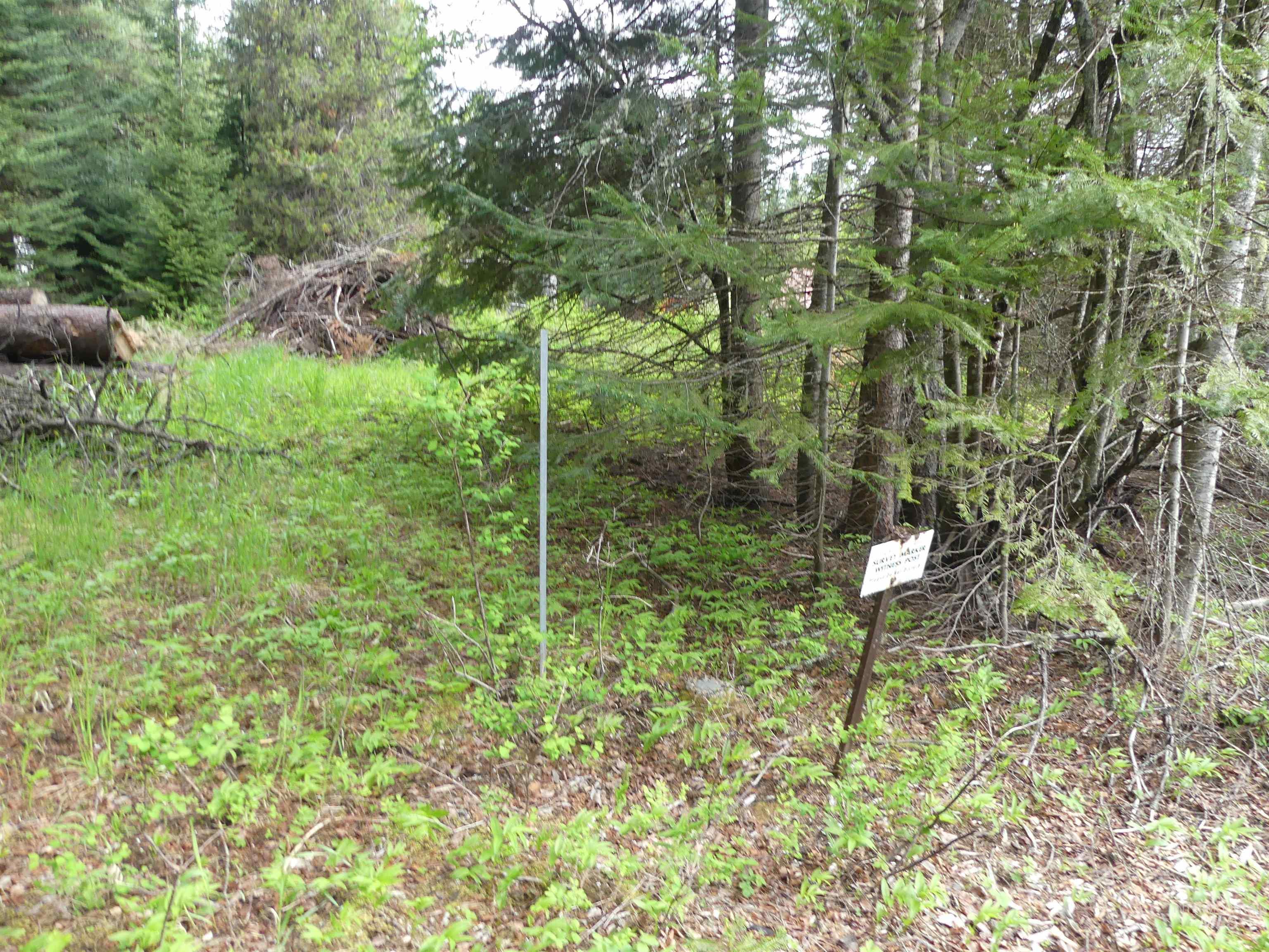 36975 Highway 11 Property Photo 21