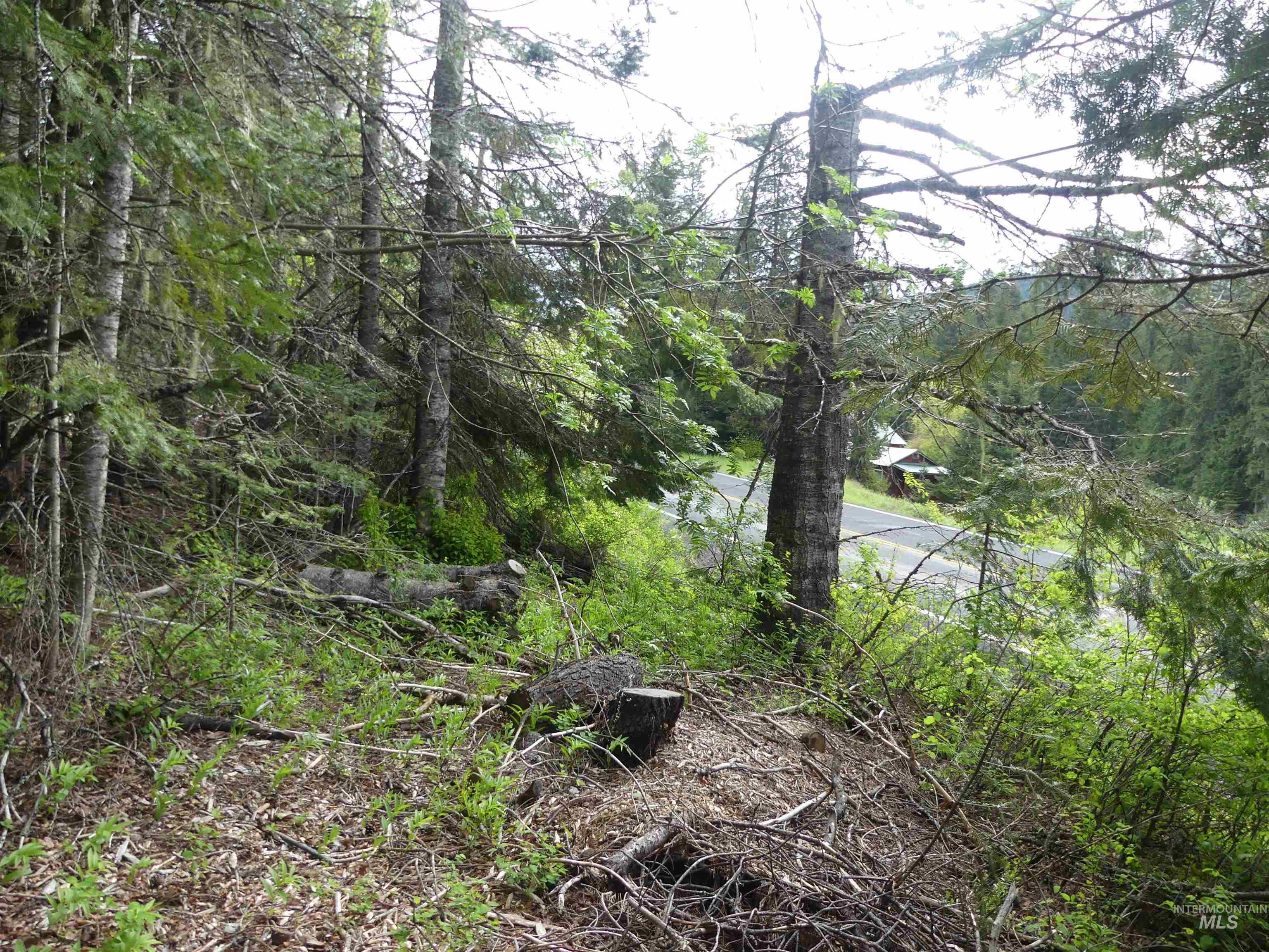 36975 Highway 11 Property Photo 22