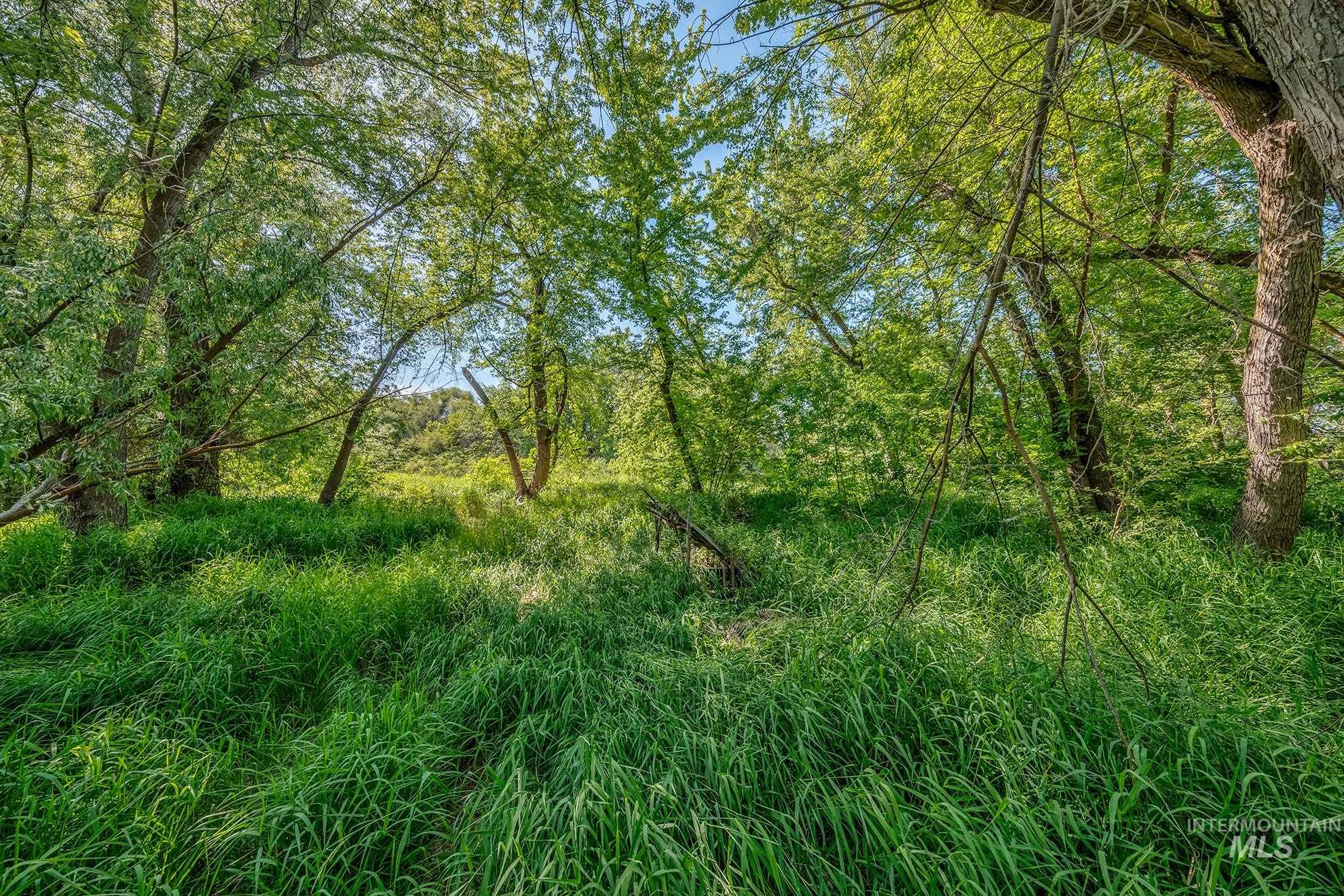 10716 N River Road Property Photo 35