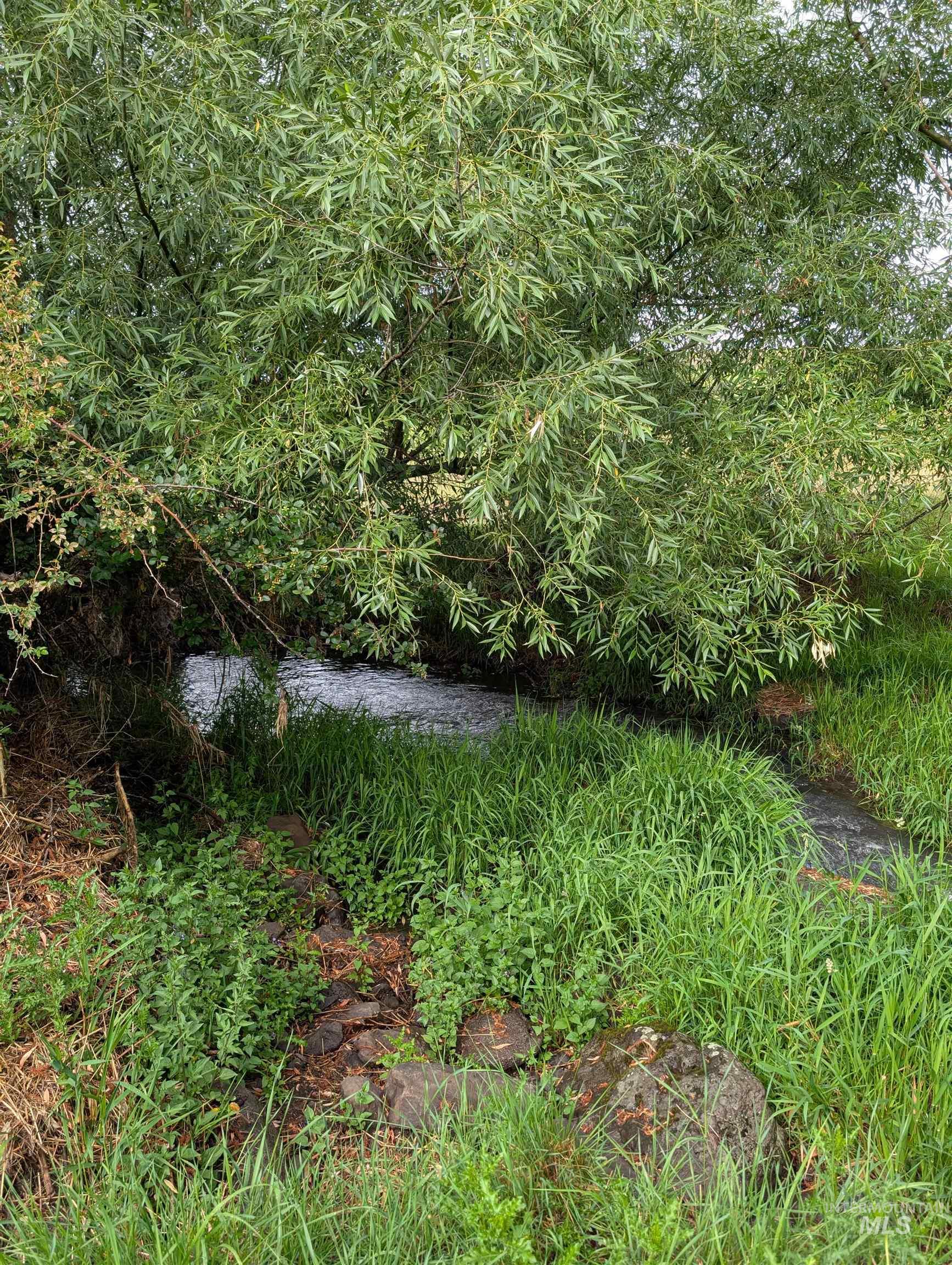 137 Angus Ranch Road Property Photo 41