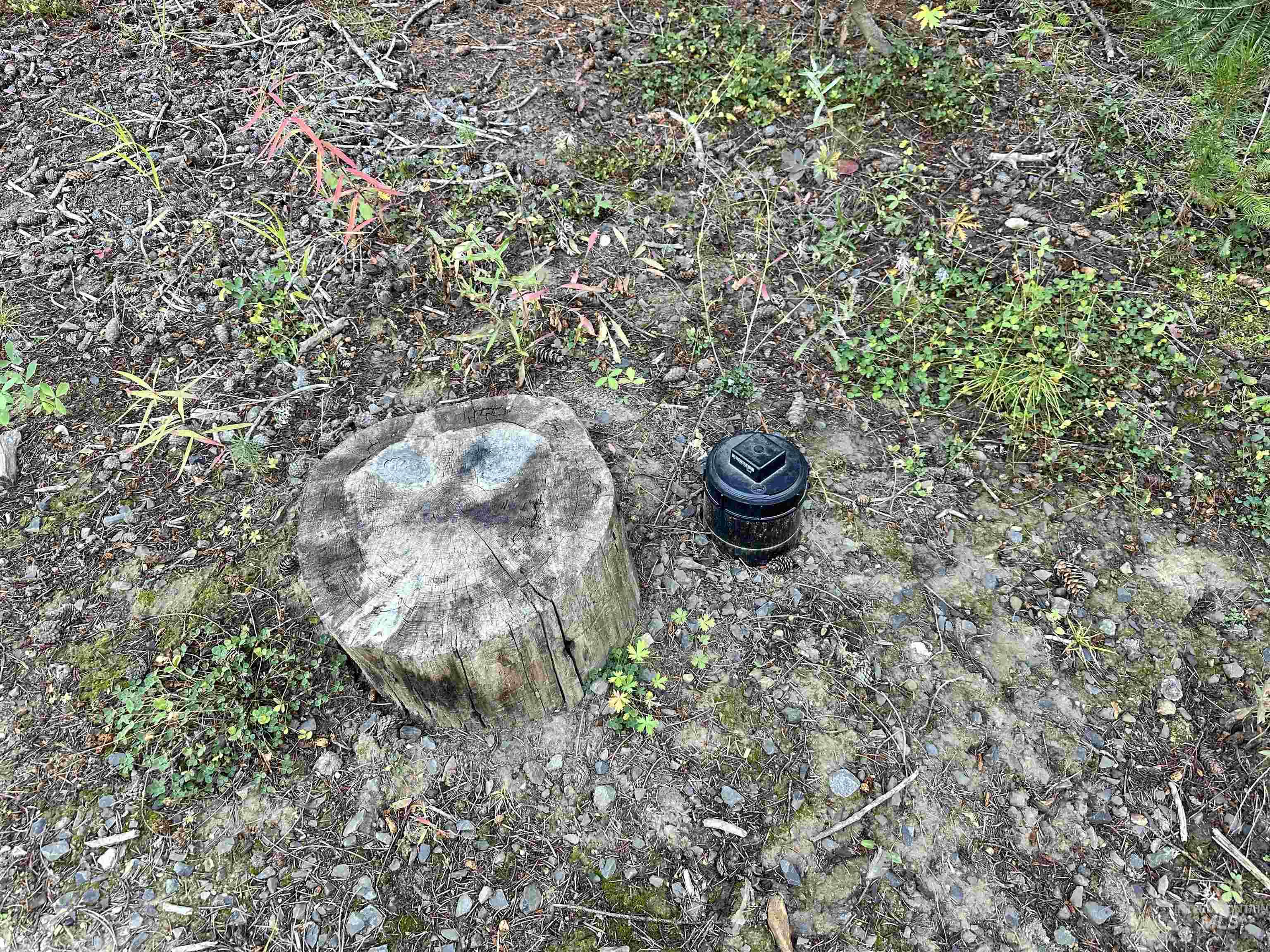 15 Andy Lane Property Photo 4