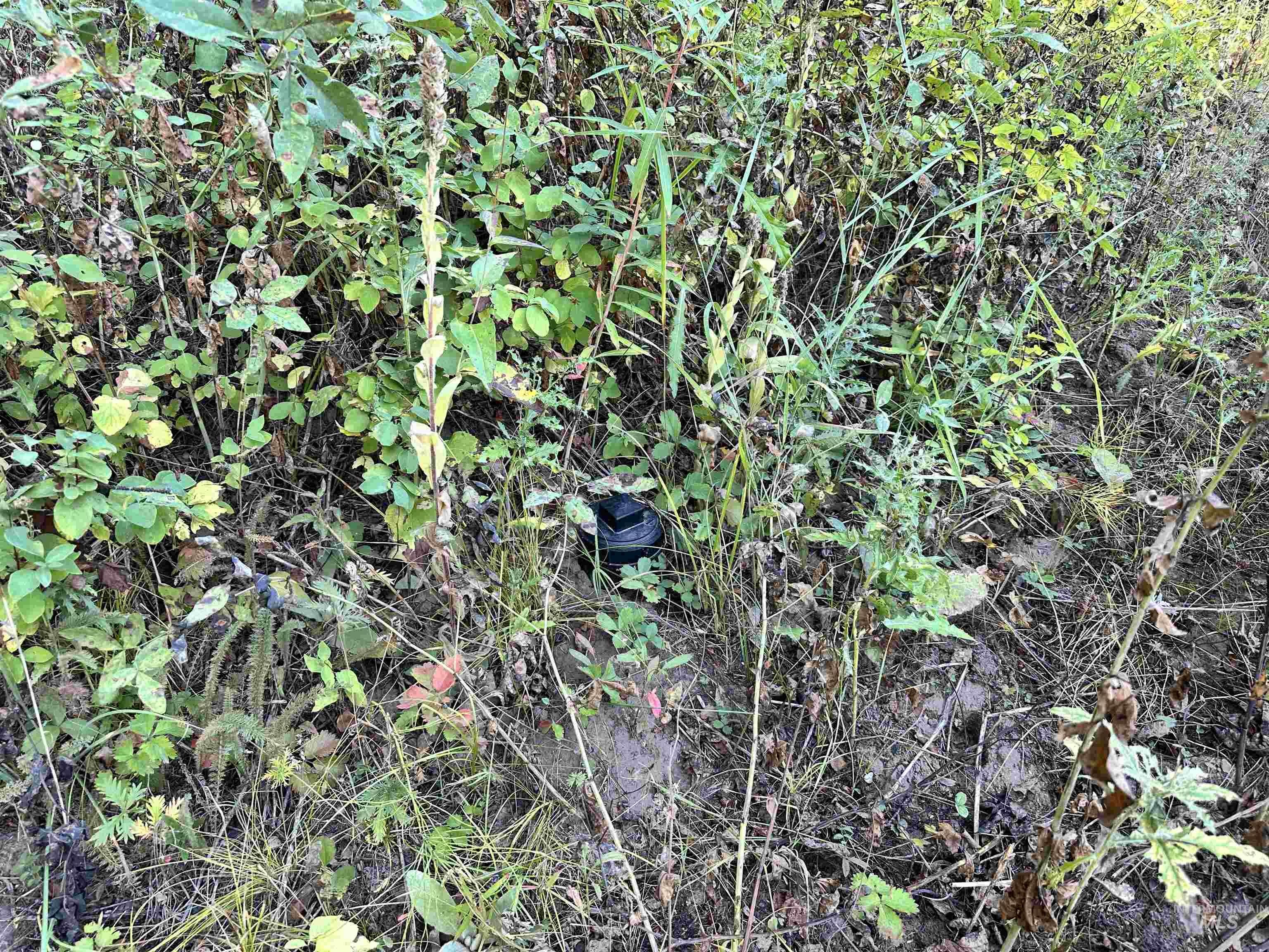 17 Andy Lane Property Photo 6