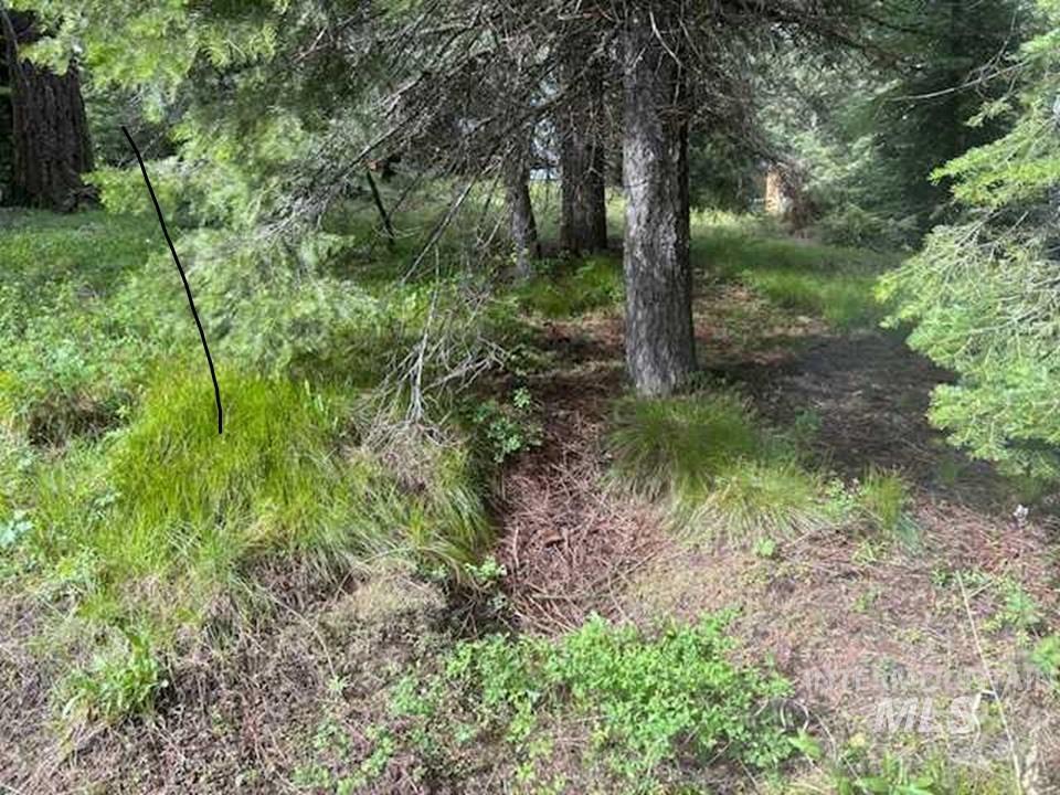 17 Andy Lane Property Photo 7