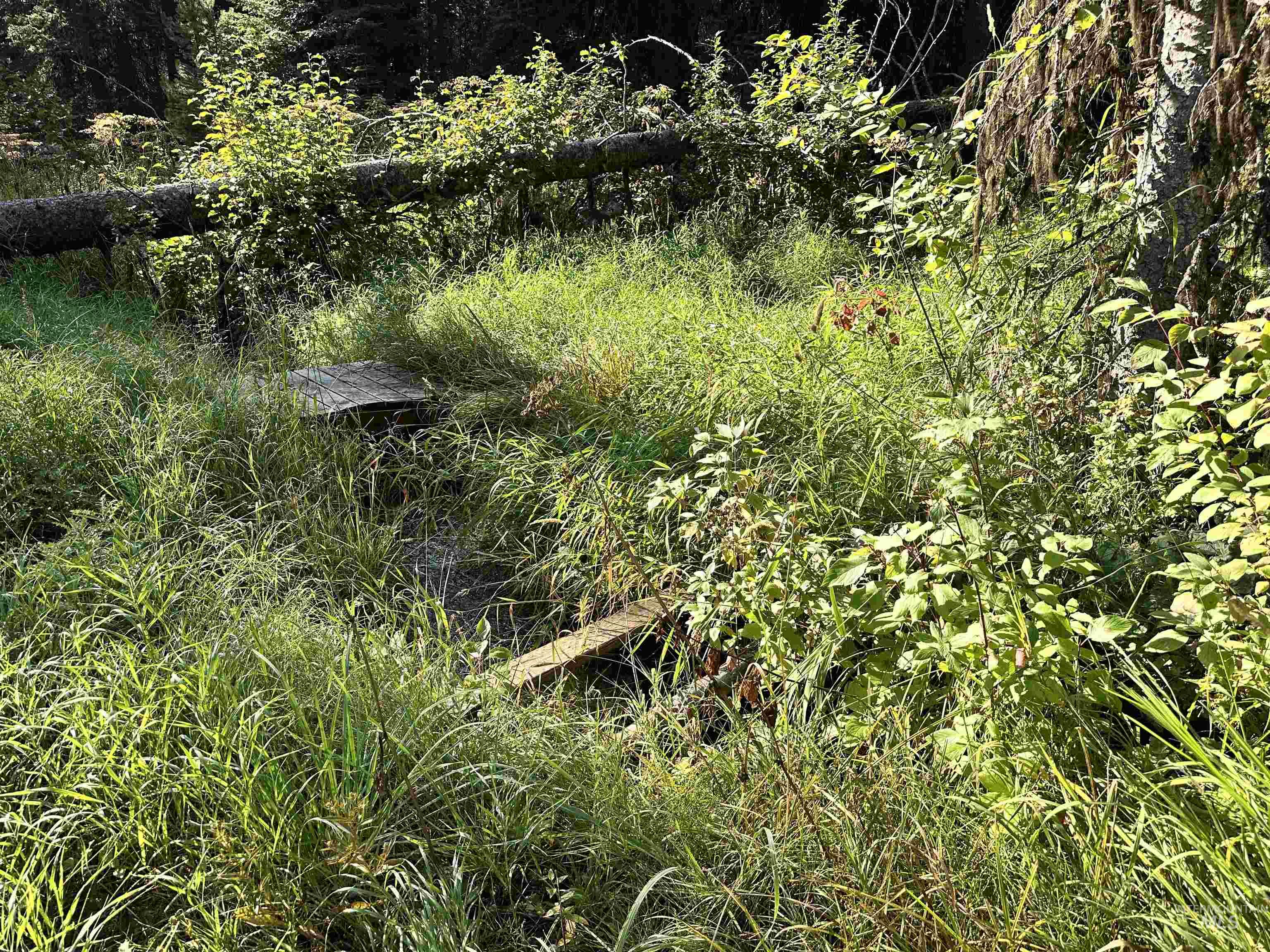 17 Andy Lane Property Photo 12