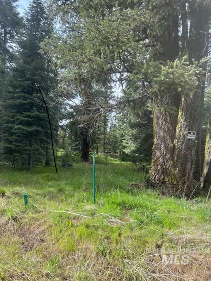 20 Andy Lane Property Photo 1