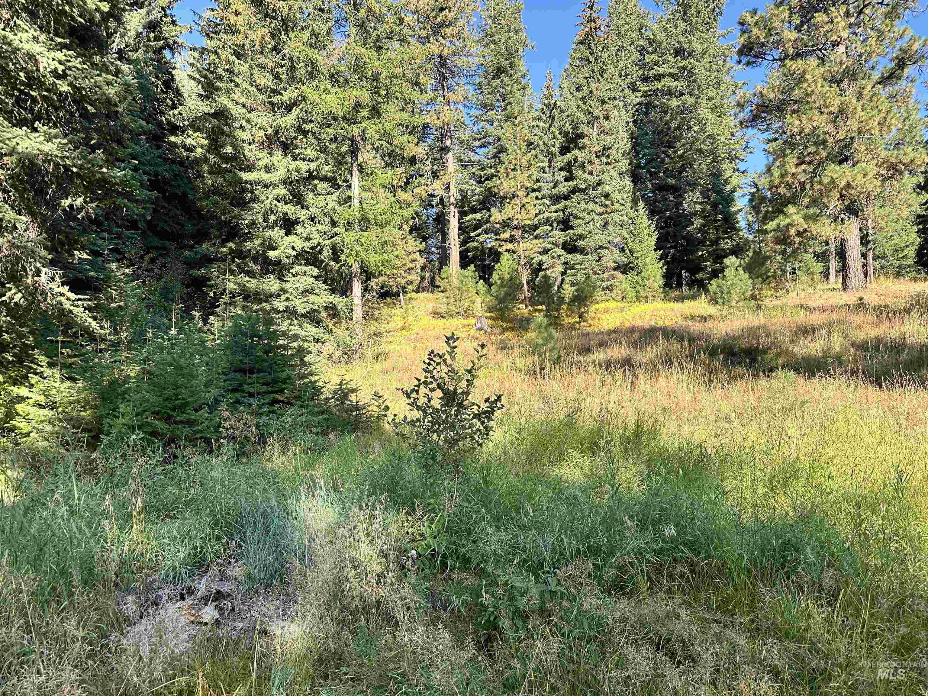 2195 Davy Road Property Photo 1