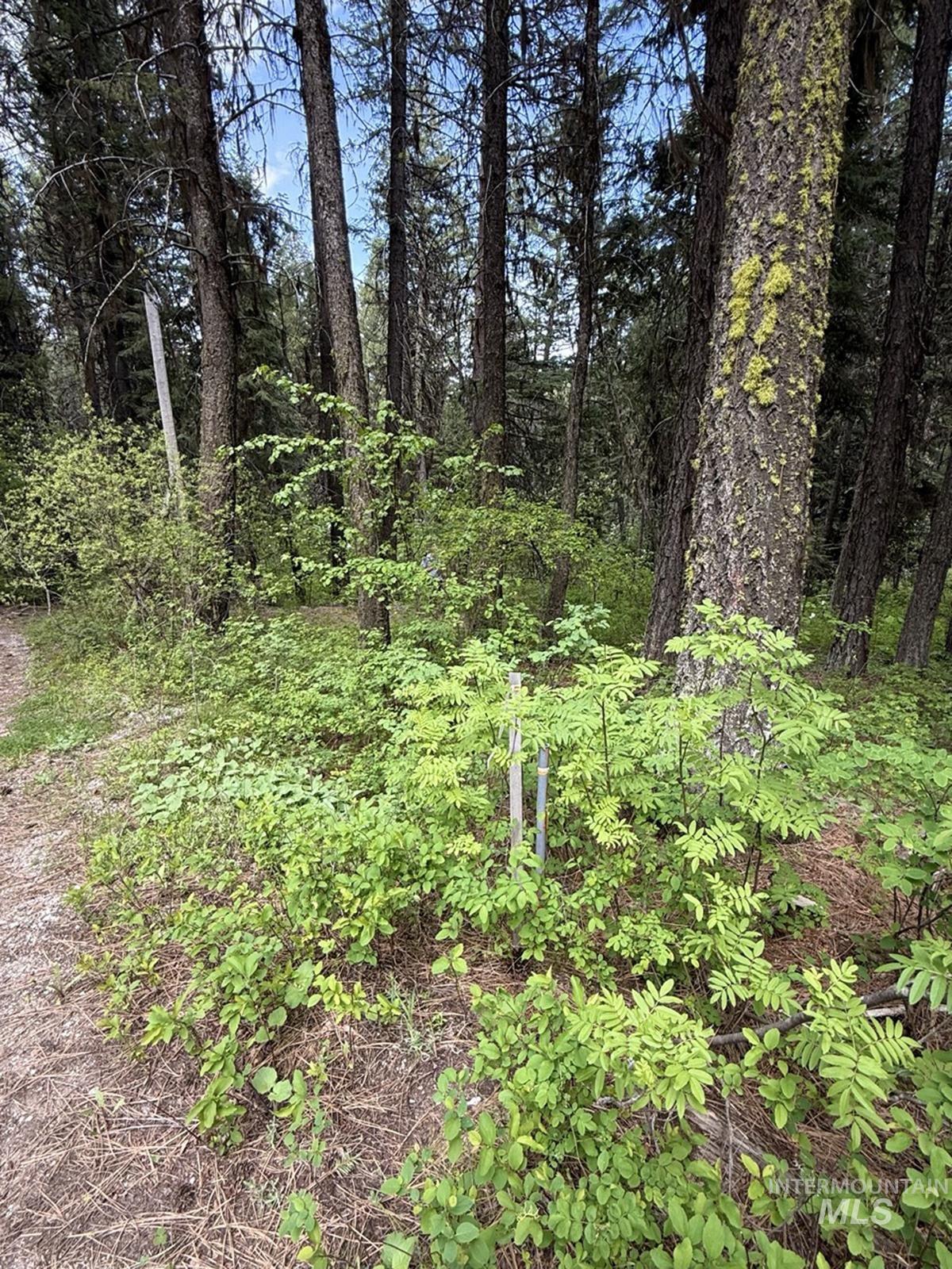 518 Susan Road Property Photo 7