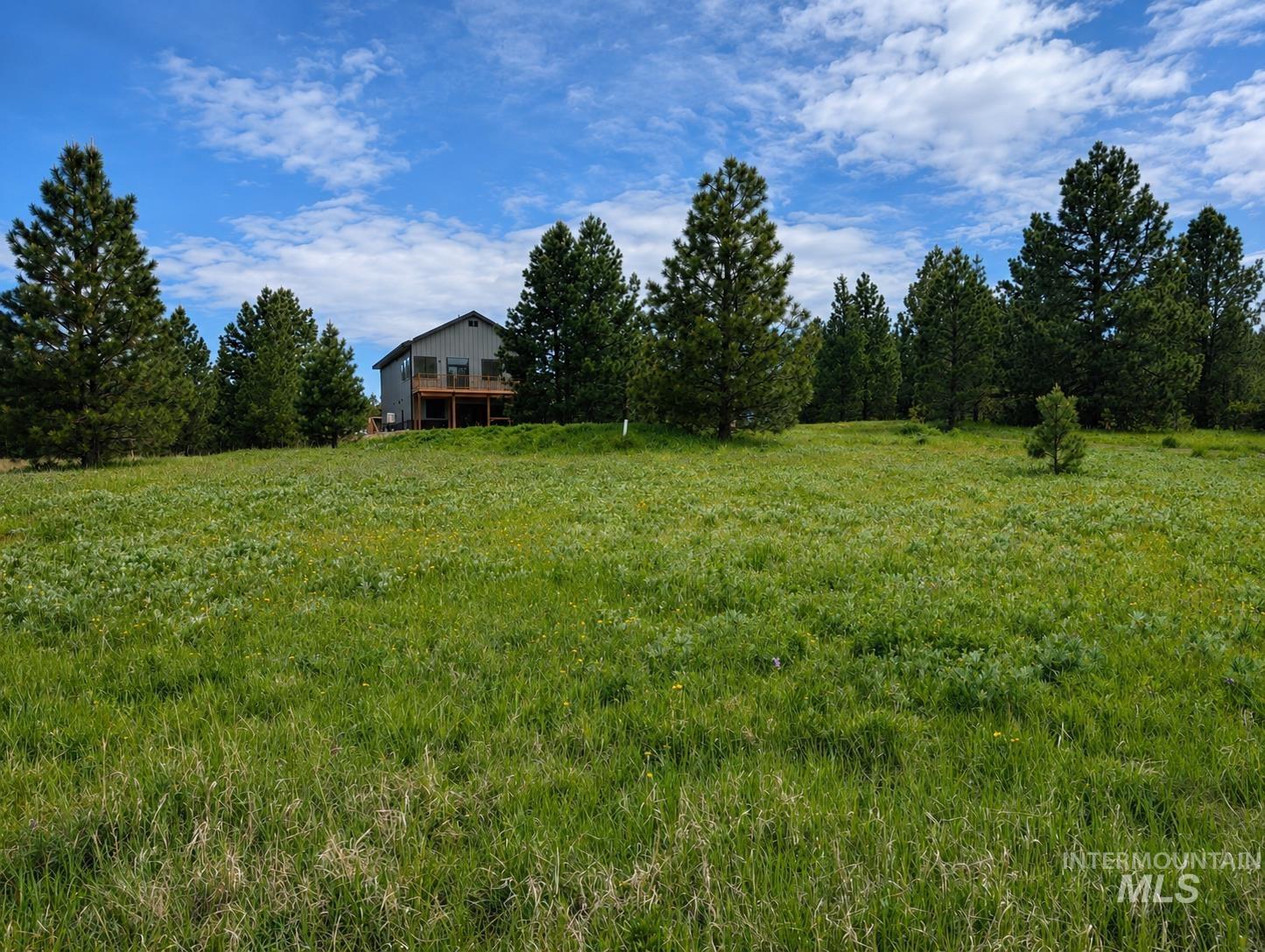 222 Buckcamp Lane Property Photo 19