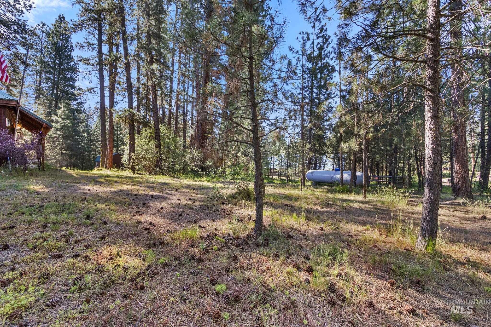 28 Bull Pine Rd Property Photo 5