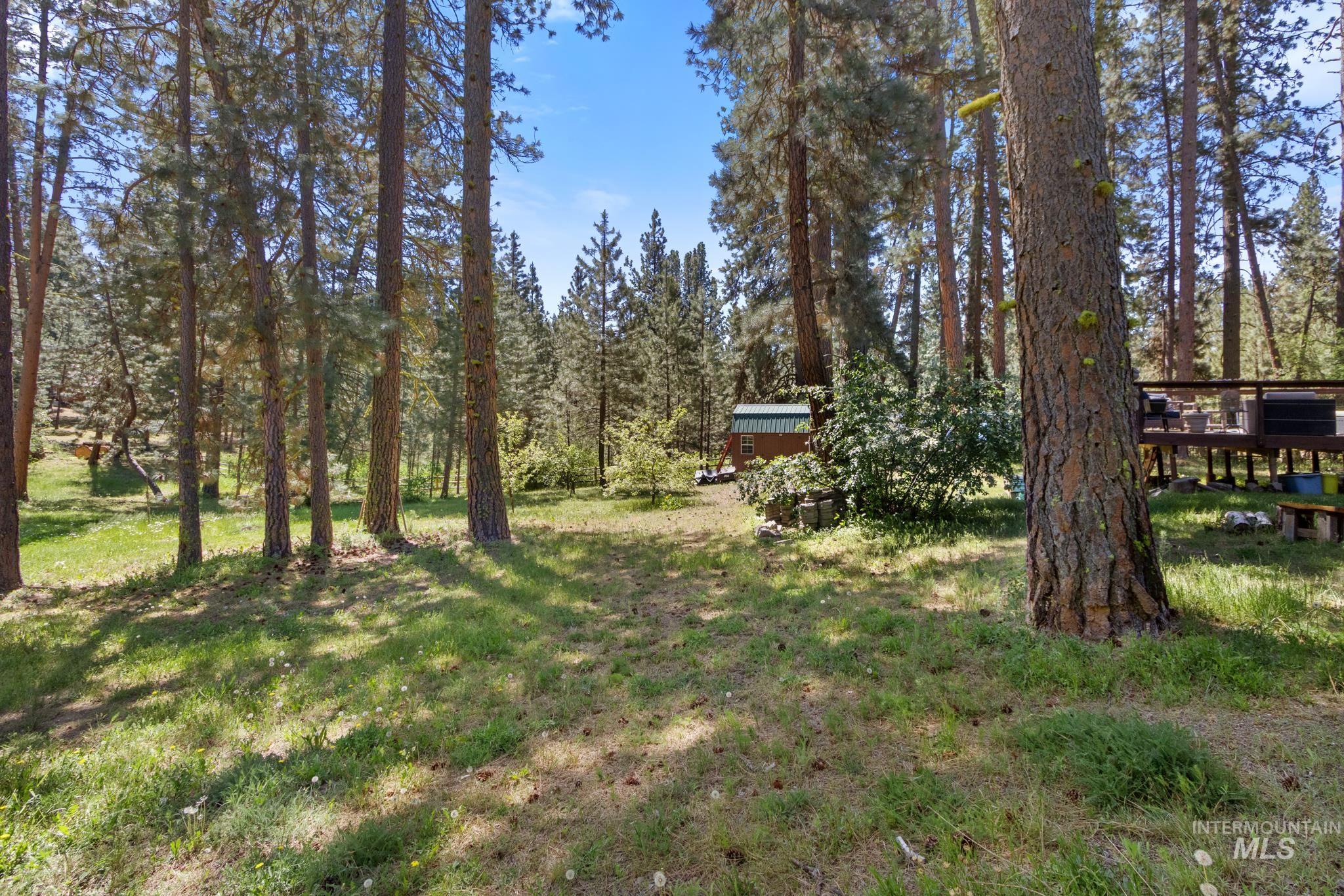 28 Bull Pine Rd Property Photo 42