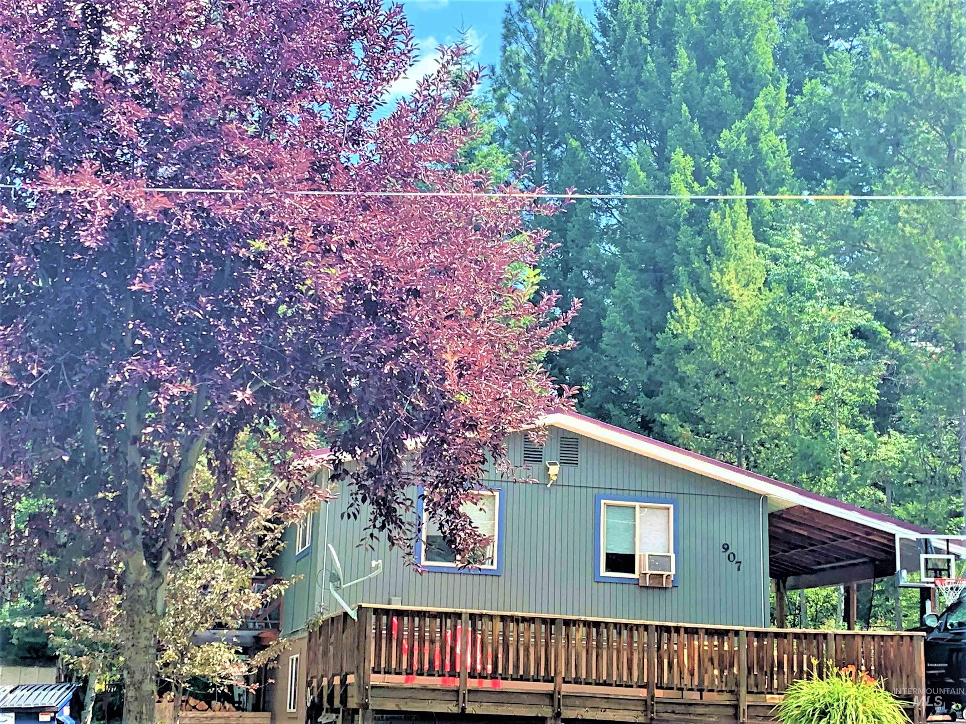 907 Ann Street Property Photo 46