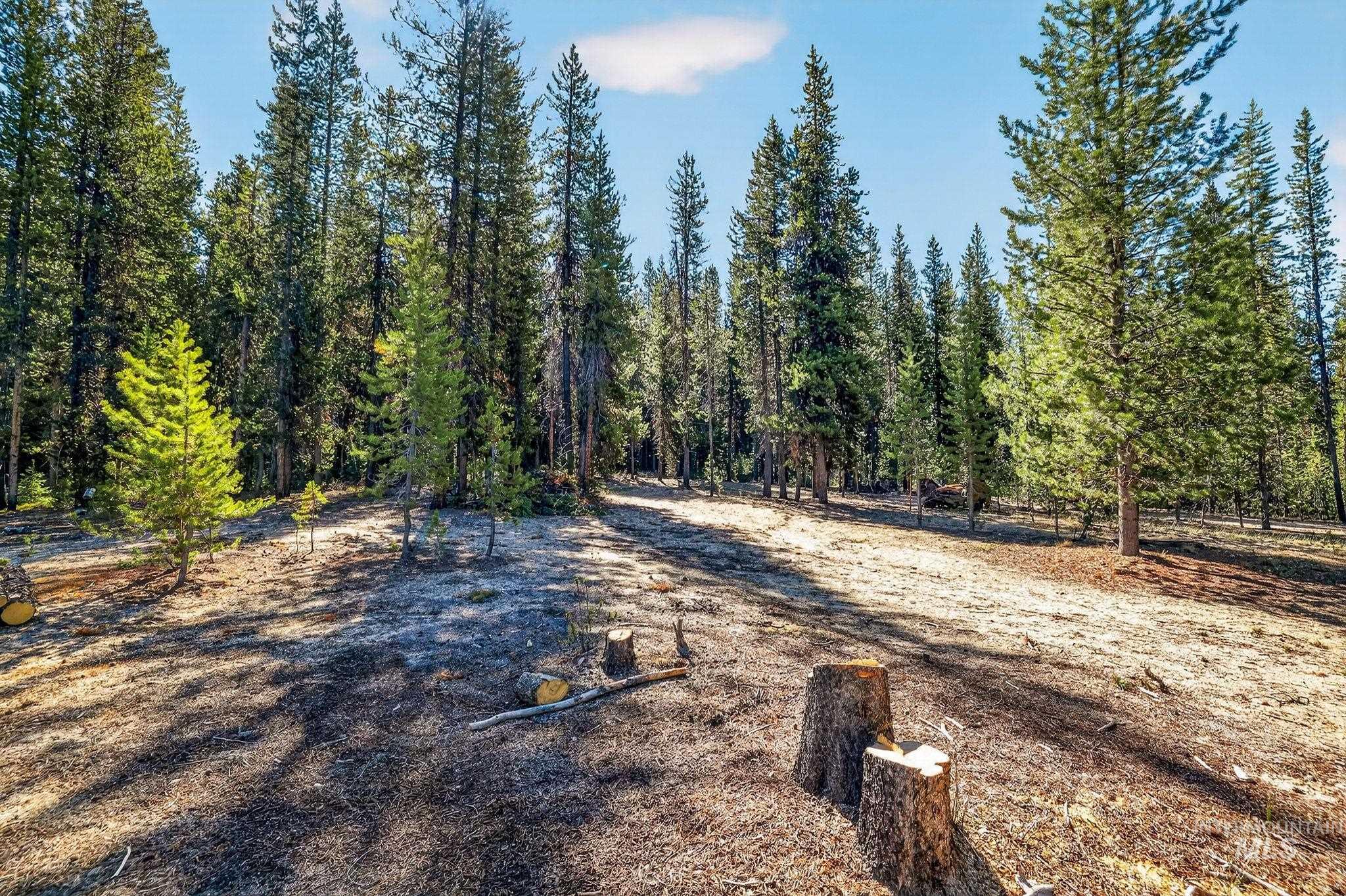 321 Secesh River Road Property Photo 32