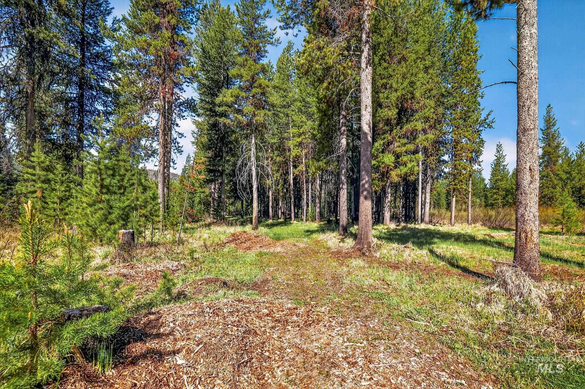 321 Secesh River Road Property Photo 37