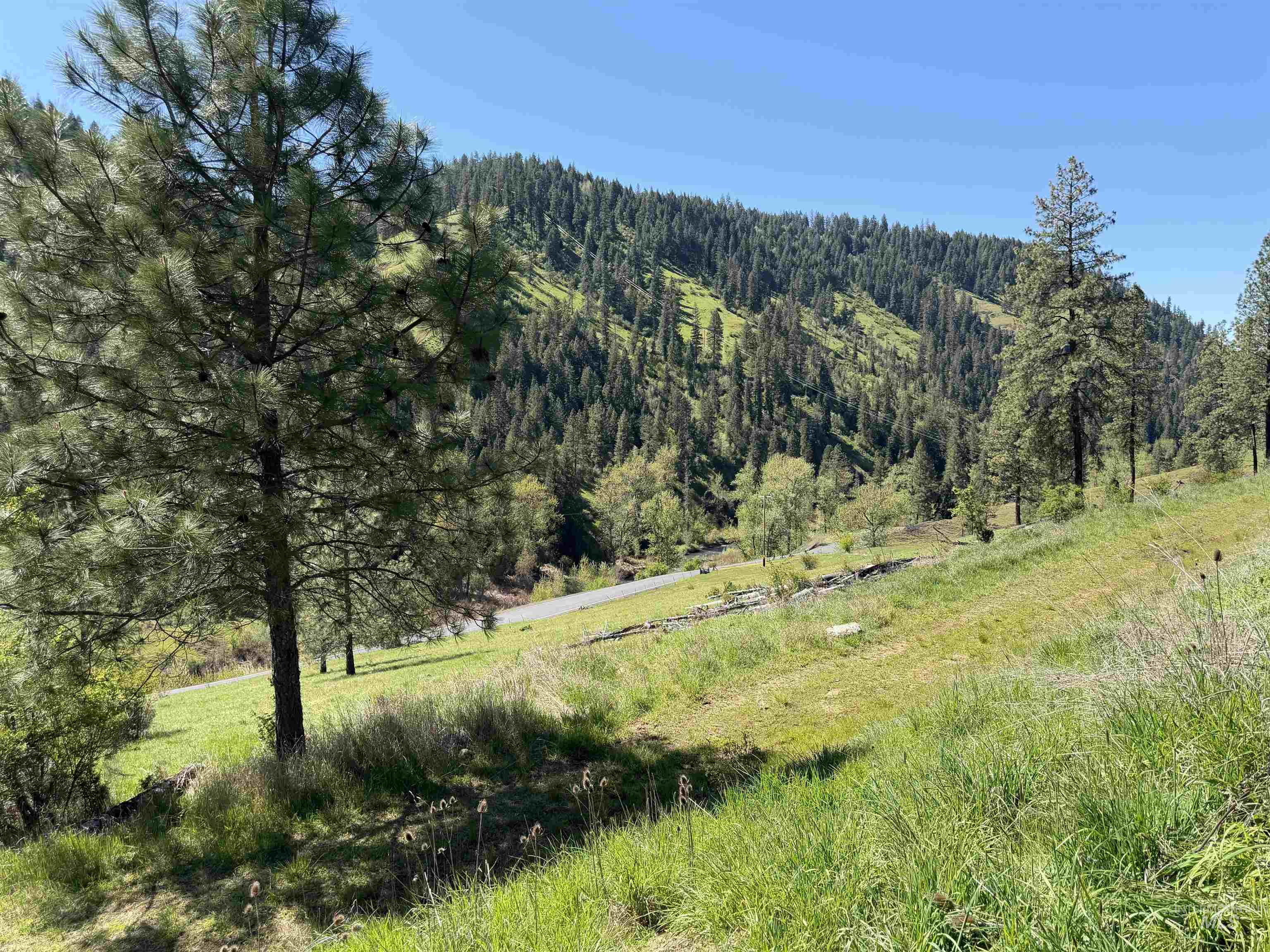 624 Clear Creek Road Property Photo 29