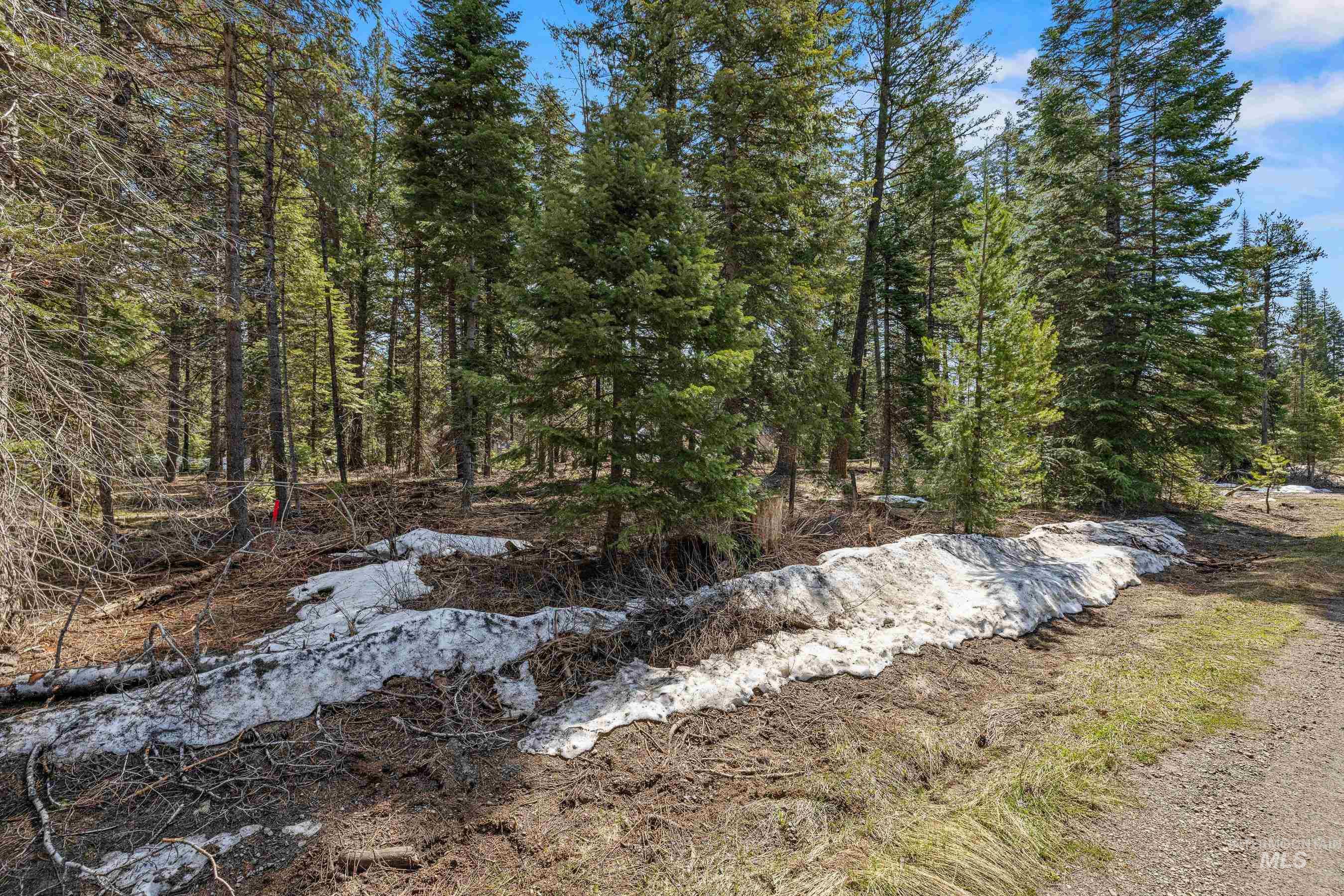 2144 Christie Road Property Photo 5