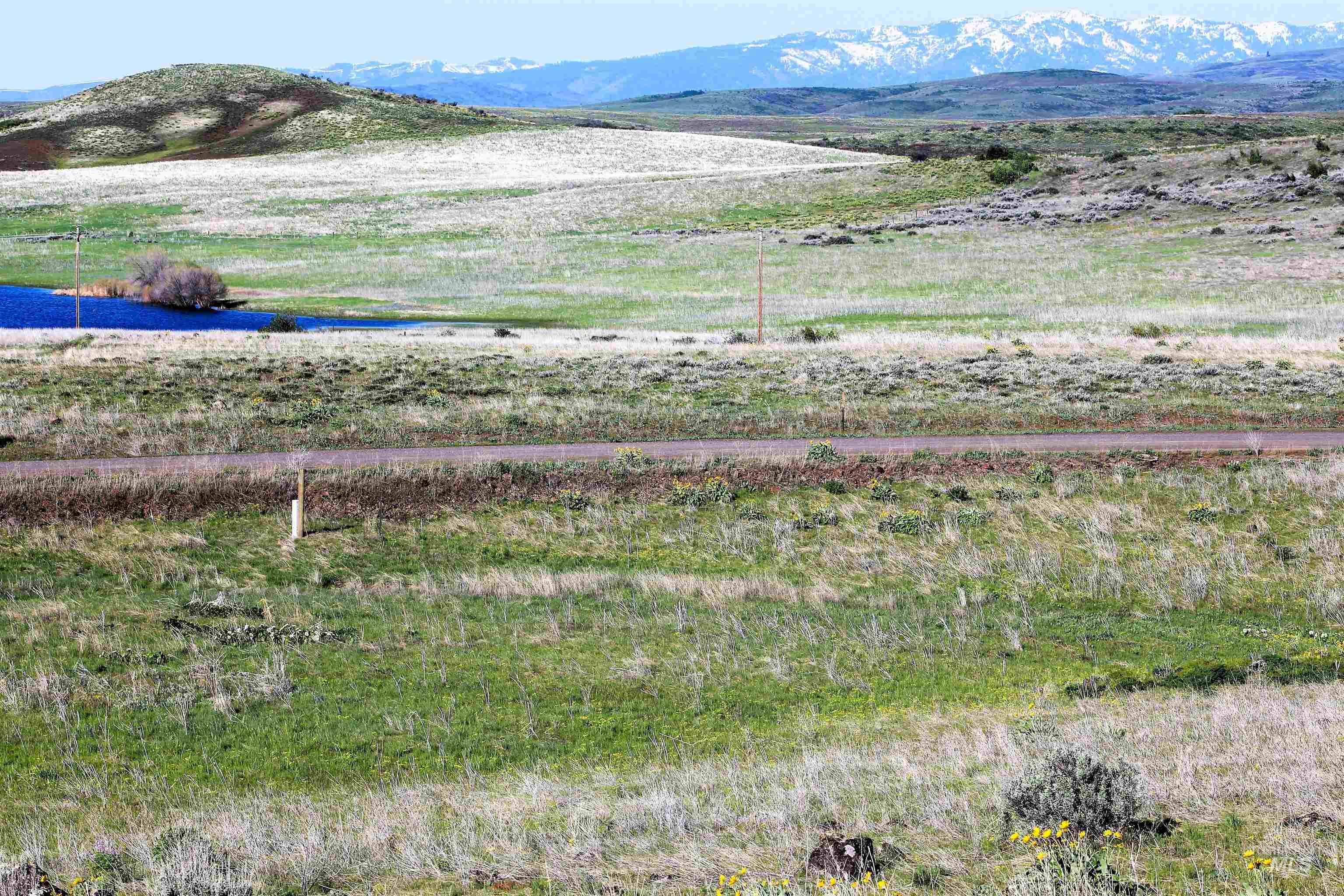 Tbd Trail Lane Property Photo 5