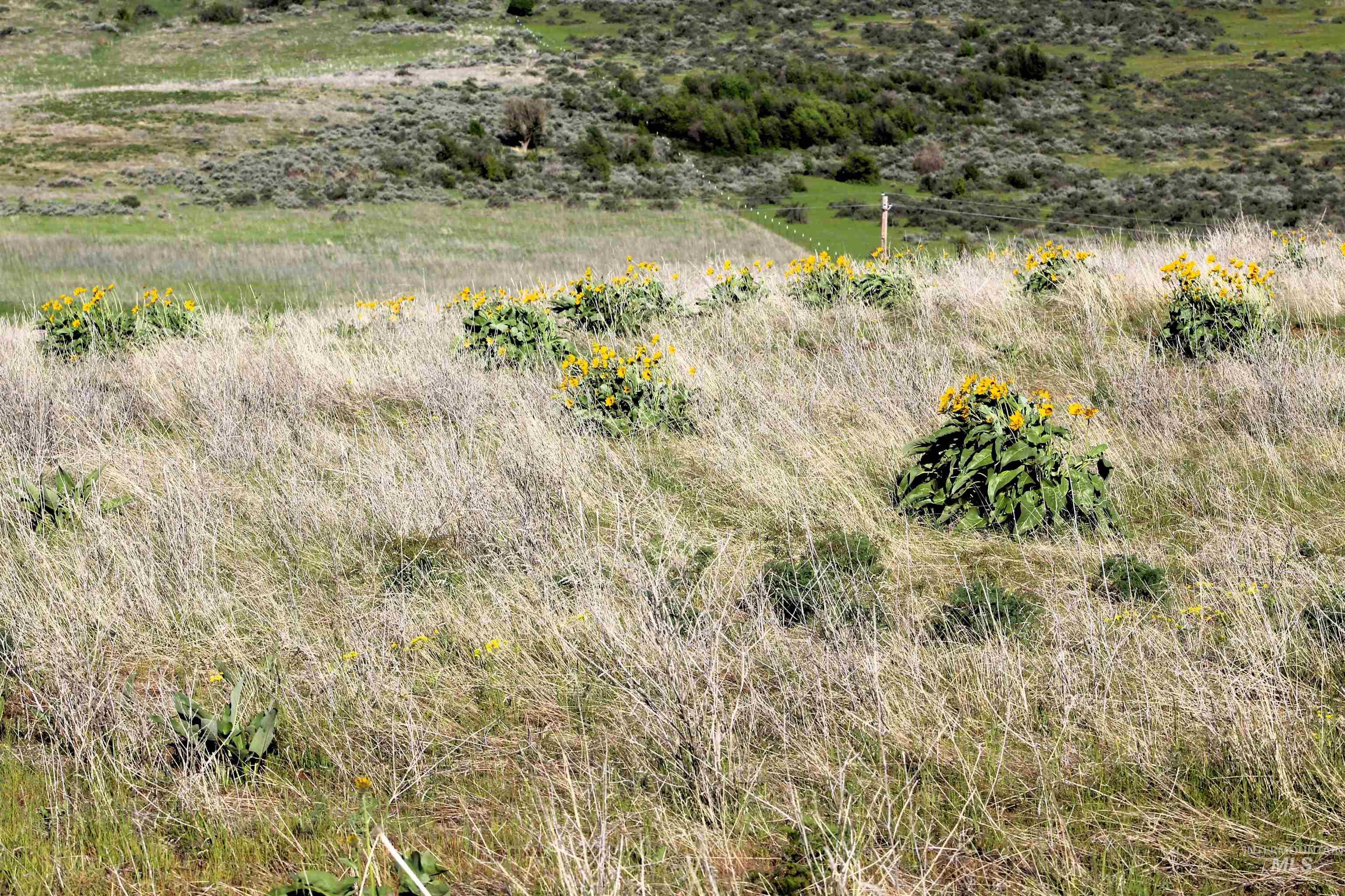 Tbd Trail Lane Property Photo 6