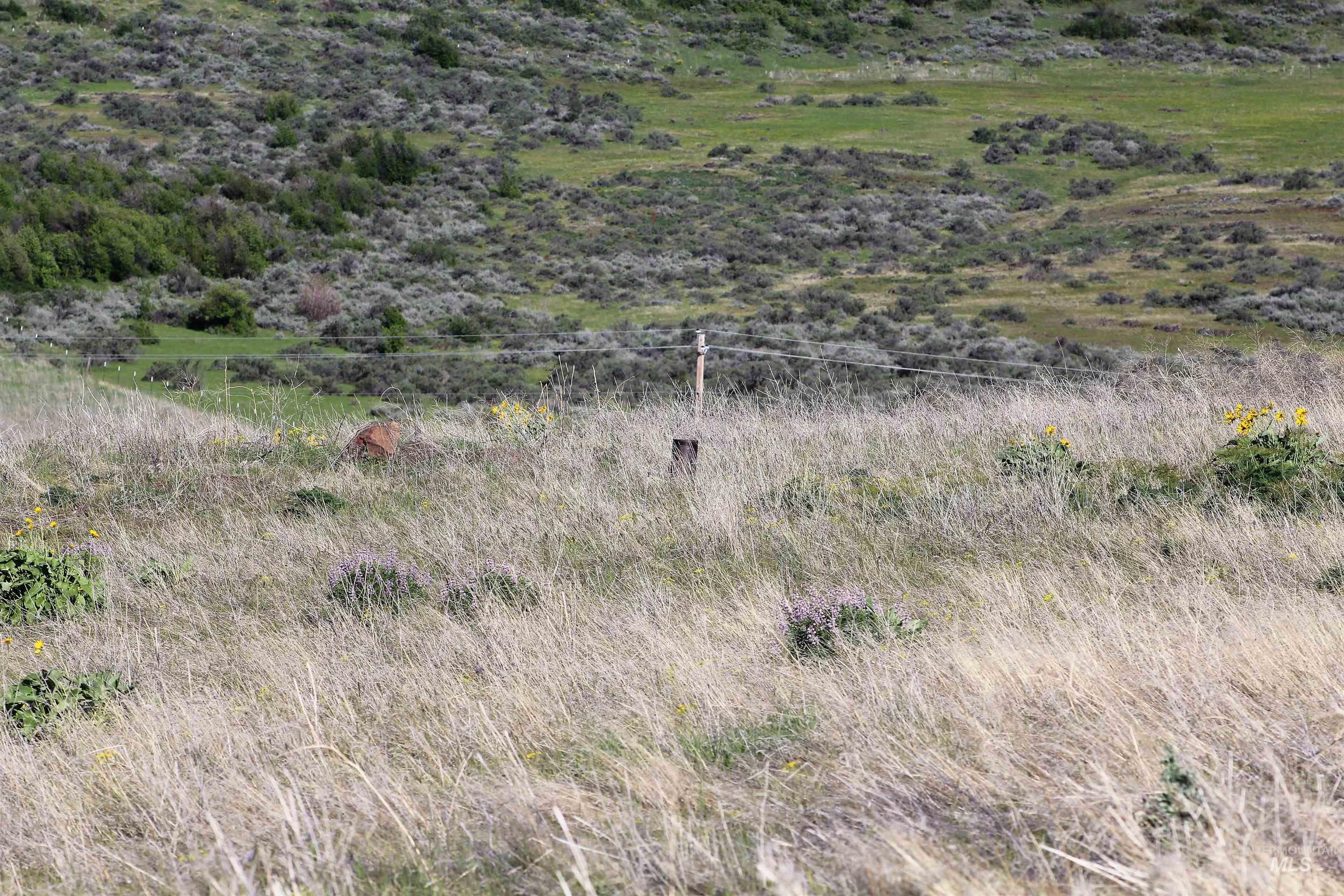 Tbd Trail Lane Property Photo 7