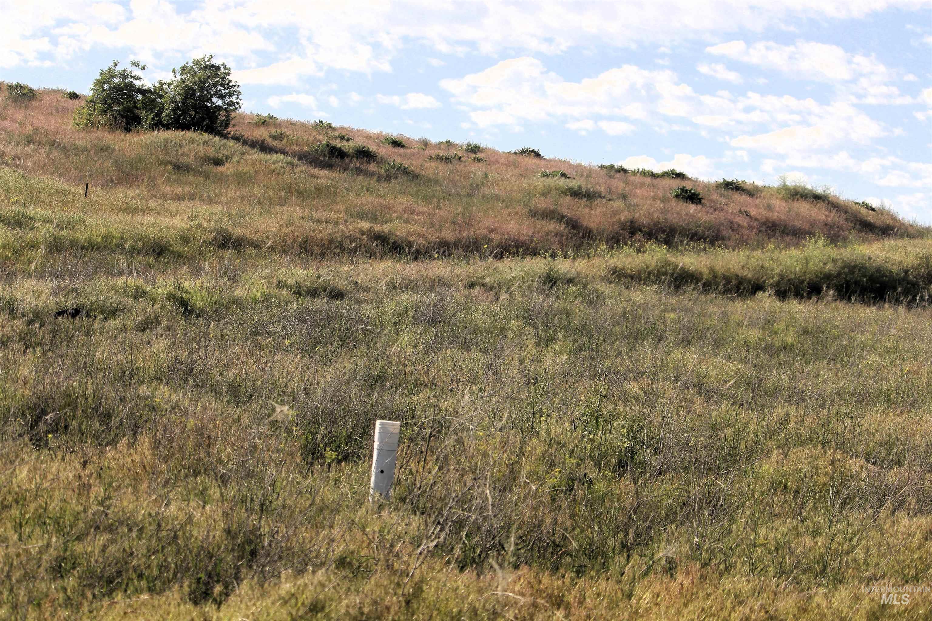 Tbd Trail Lane Property Photo 8