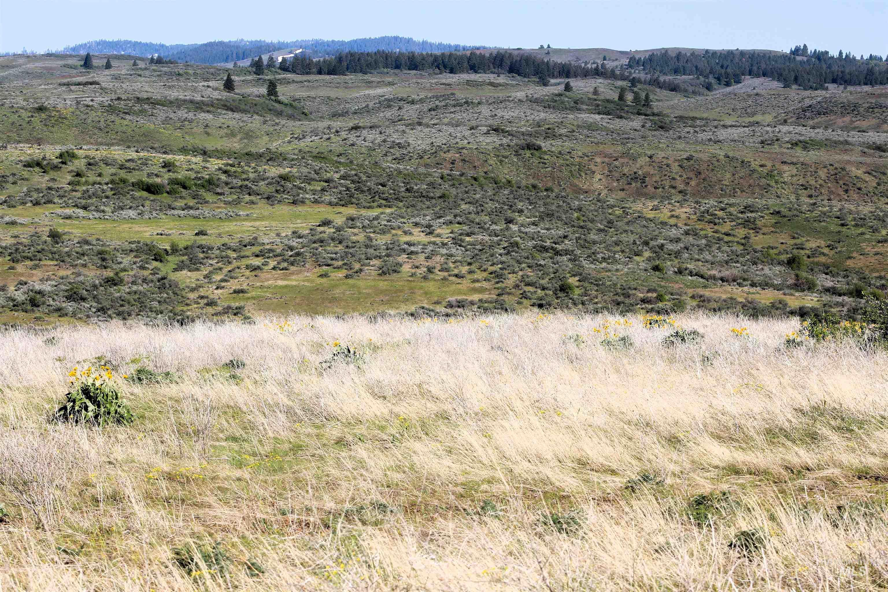 Tbd Trail Lane Property Photo 13