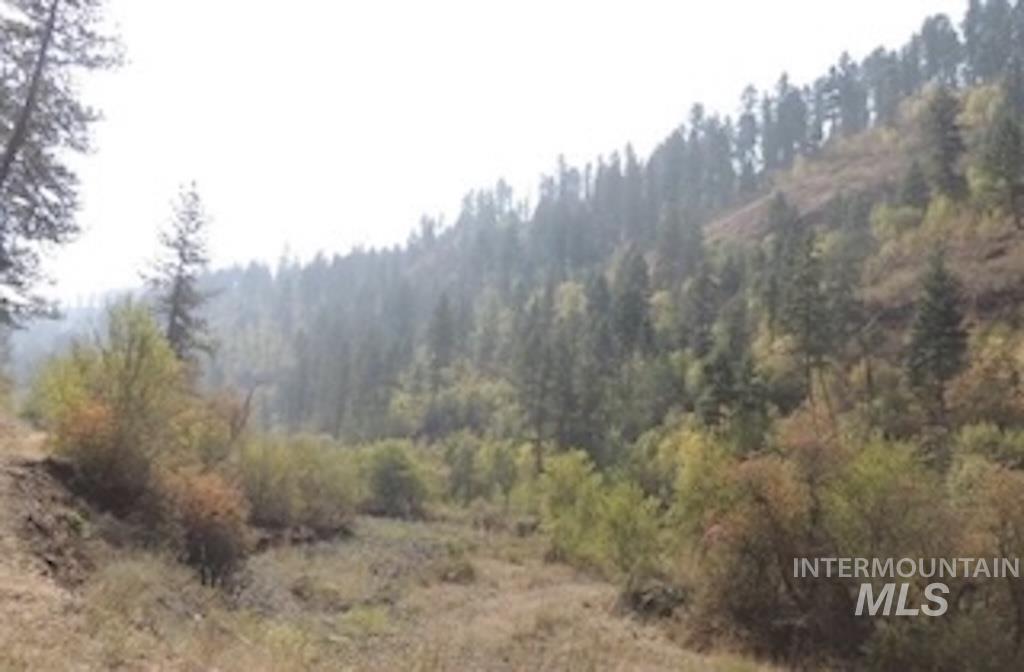 180,152,204 Rabbit Creek Road Property Photo 3