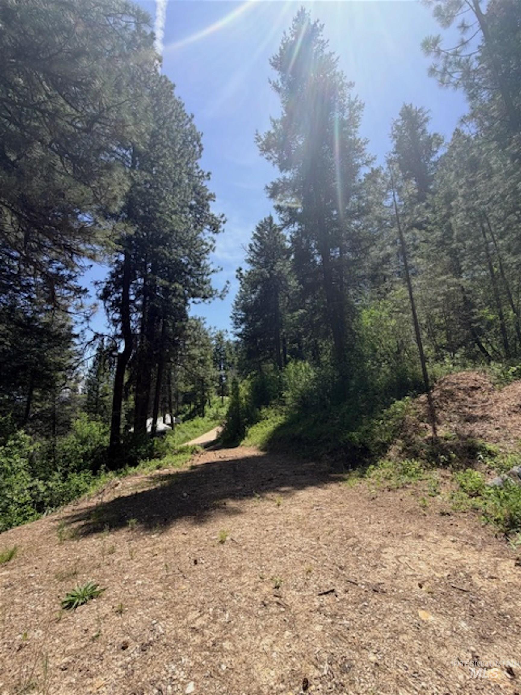 Tbd Timberline Rd. Property Photo 5