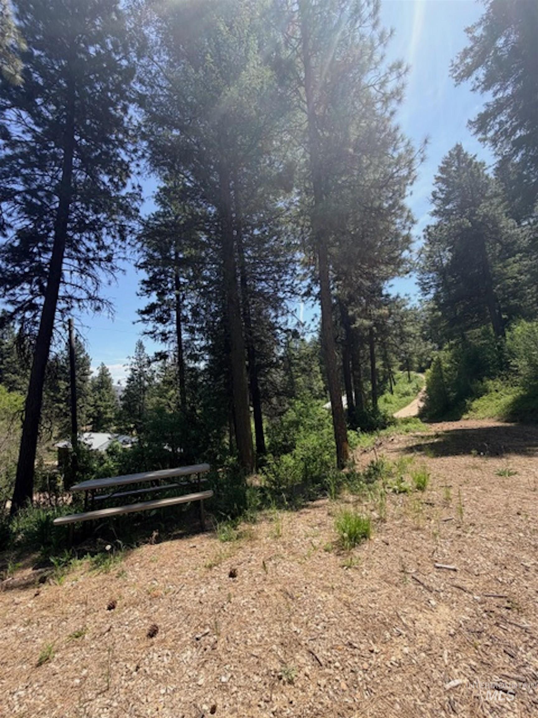 Tbd Timberline Rd. Property Photo 7