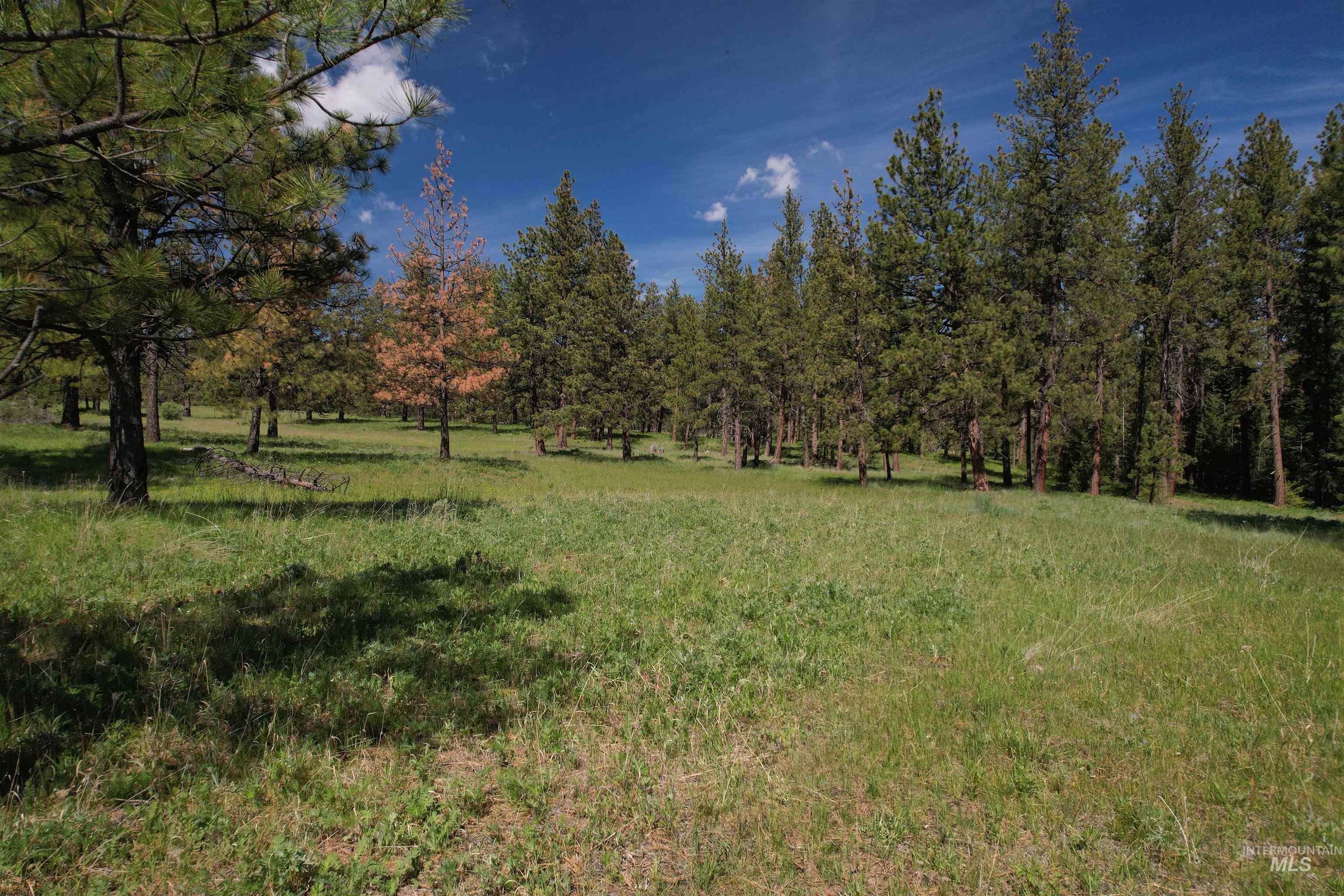 Nka Cloverland Road Property Photo 4