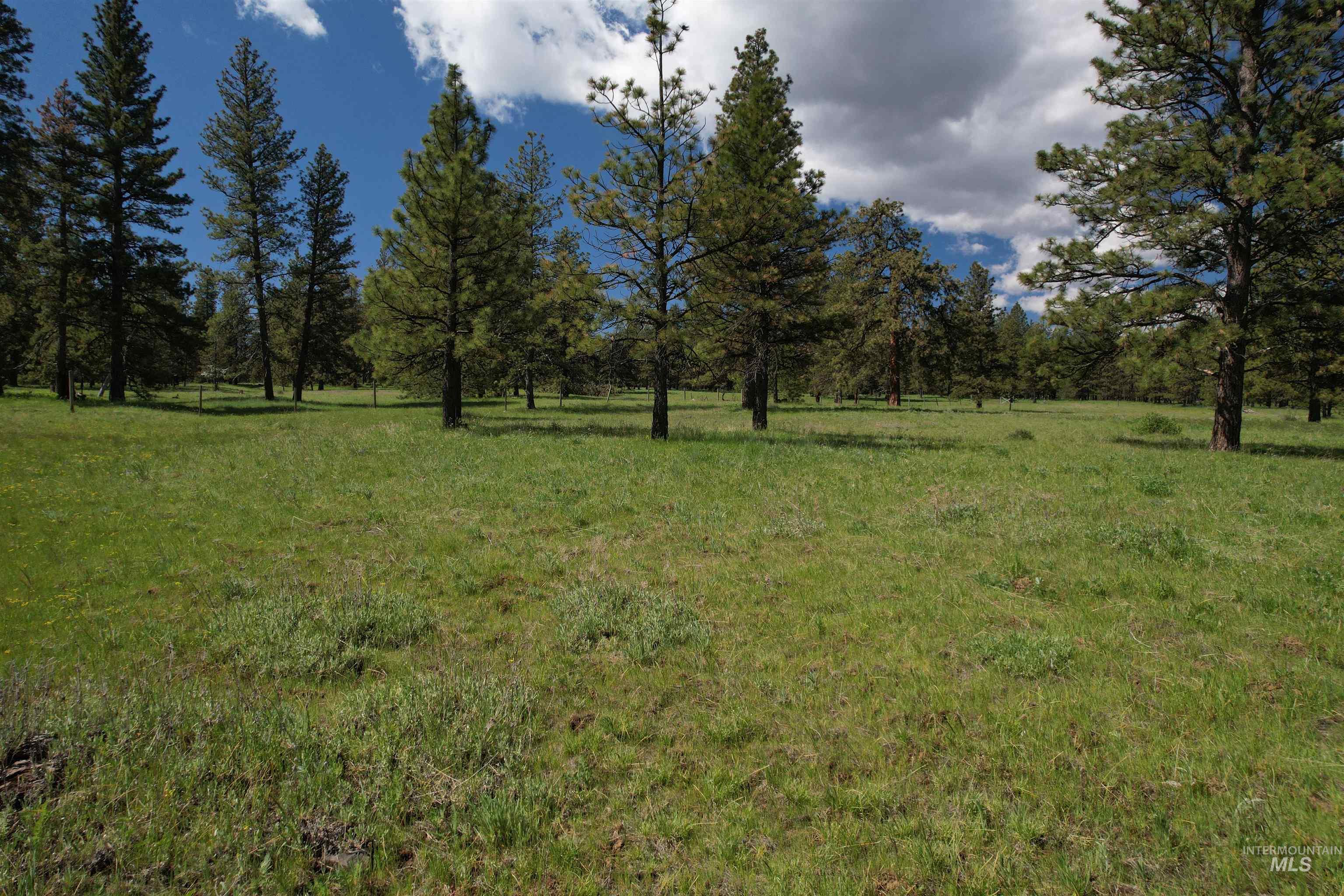 Nka Cloverland Road Property Photo 5