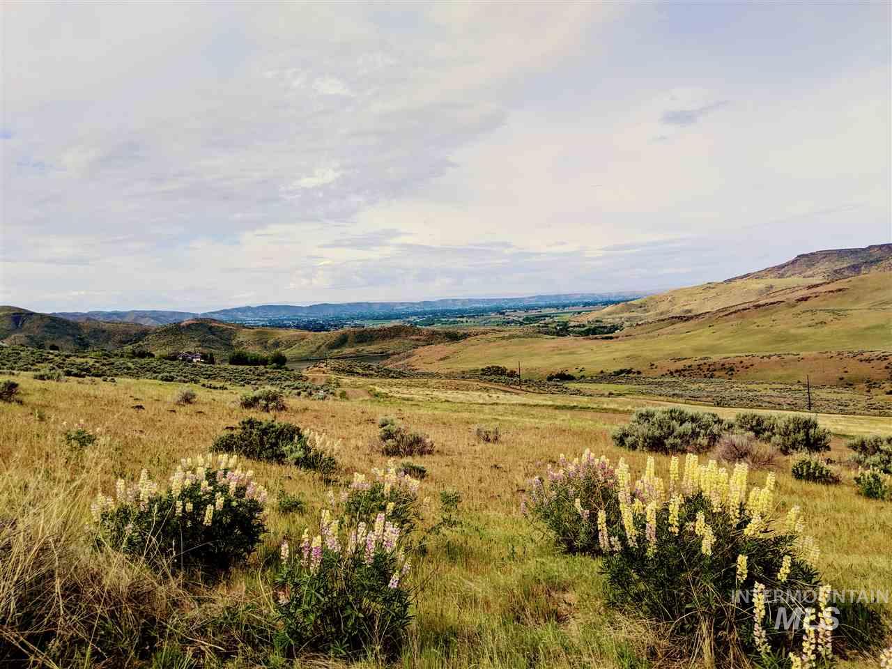 40 Ac P-8 Spur Lane Property Photo 1
