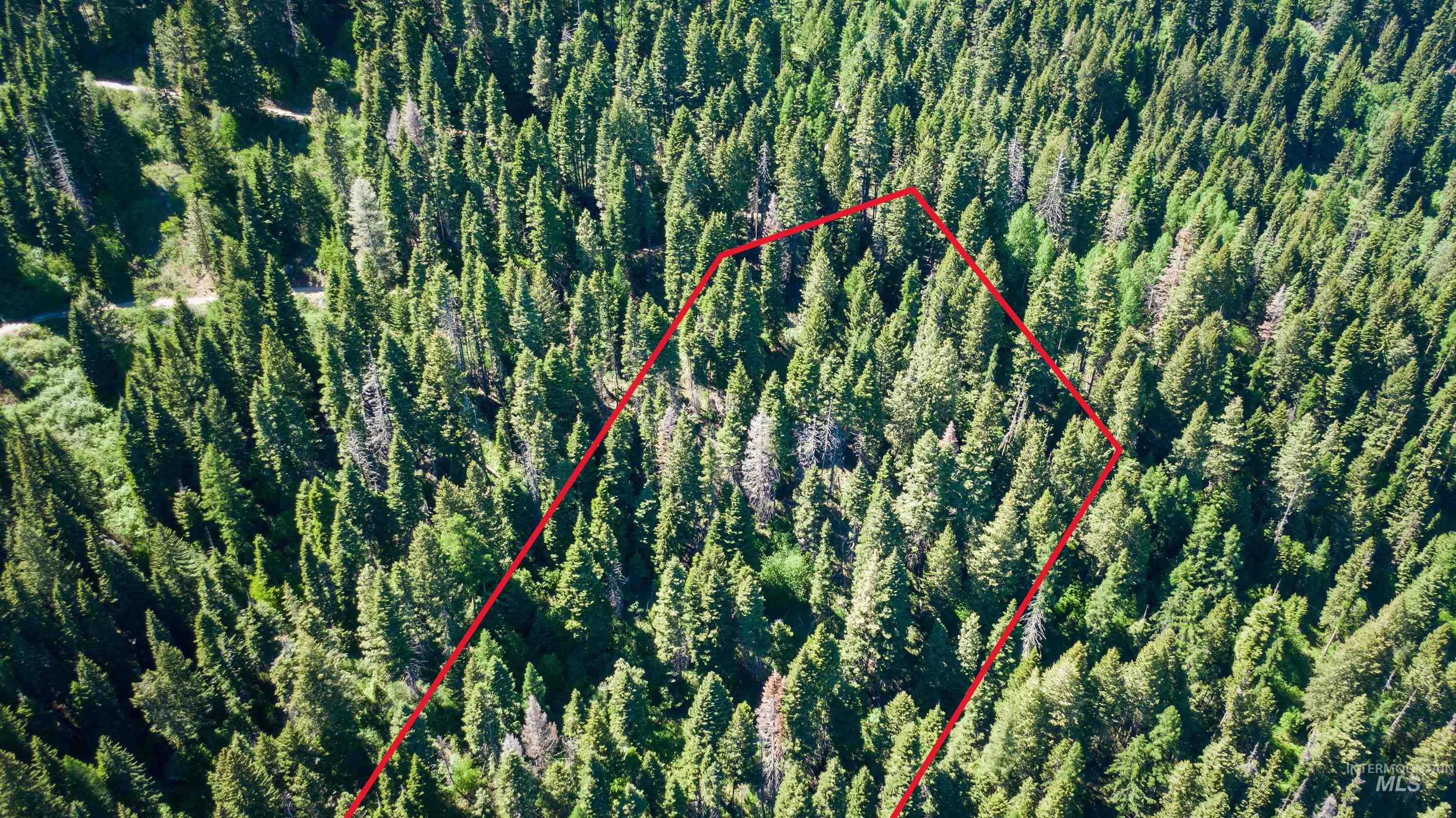 Tbd Burnt Wagon Trail Property Photo 1