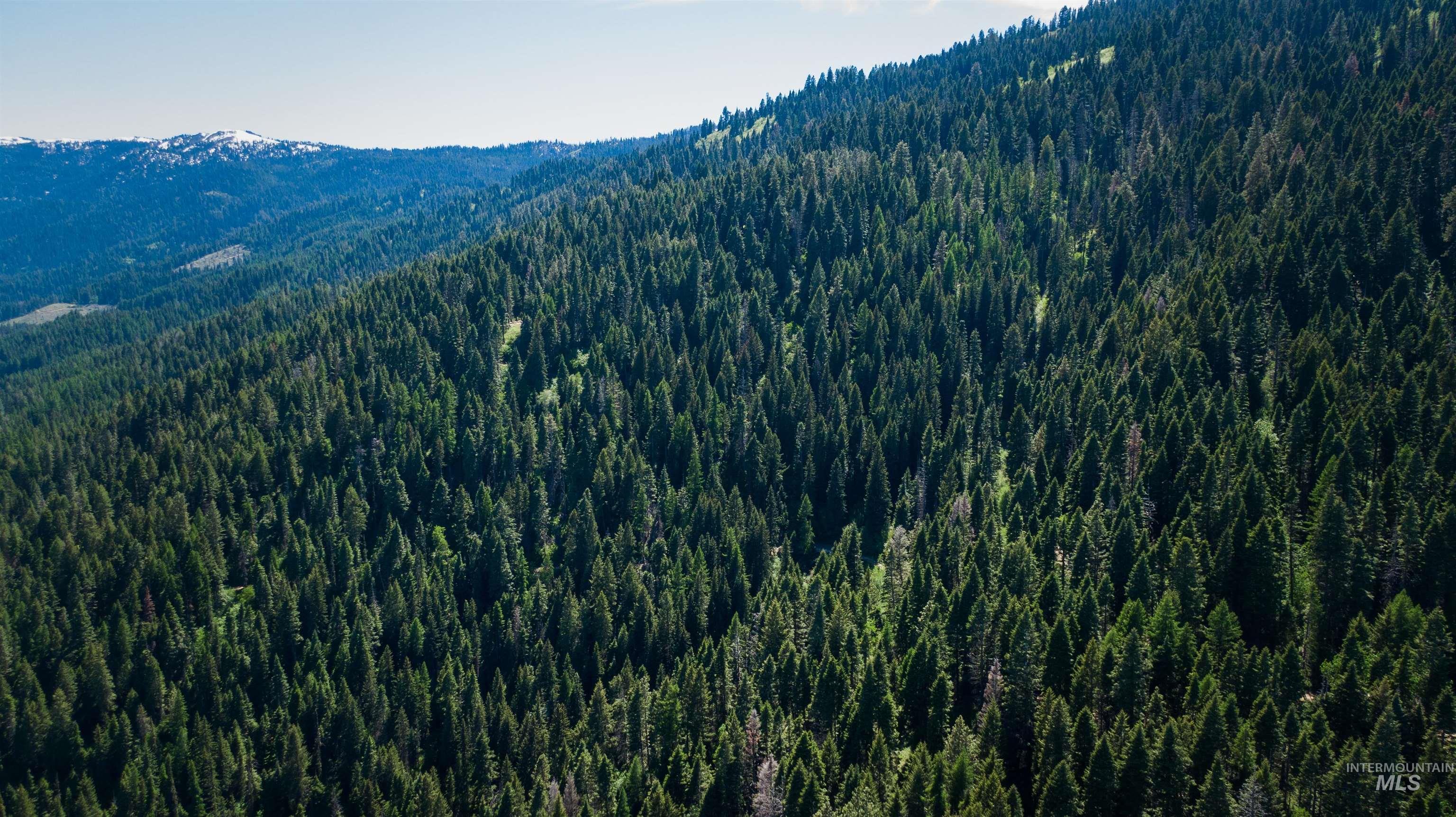 Tbd Burnt Wagon Trail Property Photo 5
