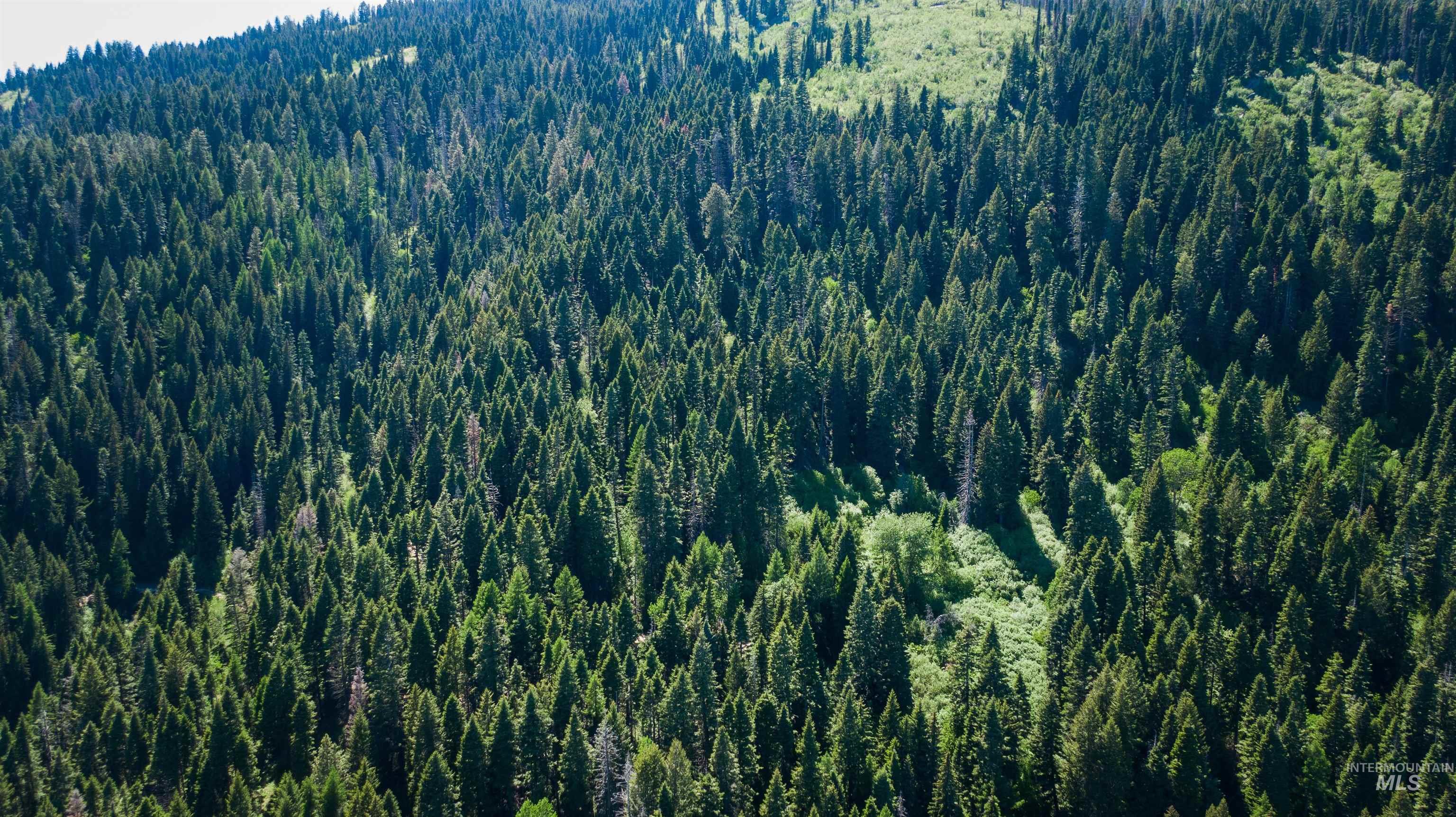 Tbd Burnt Wagon Trail Property Photo 6