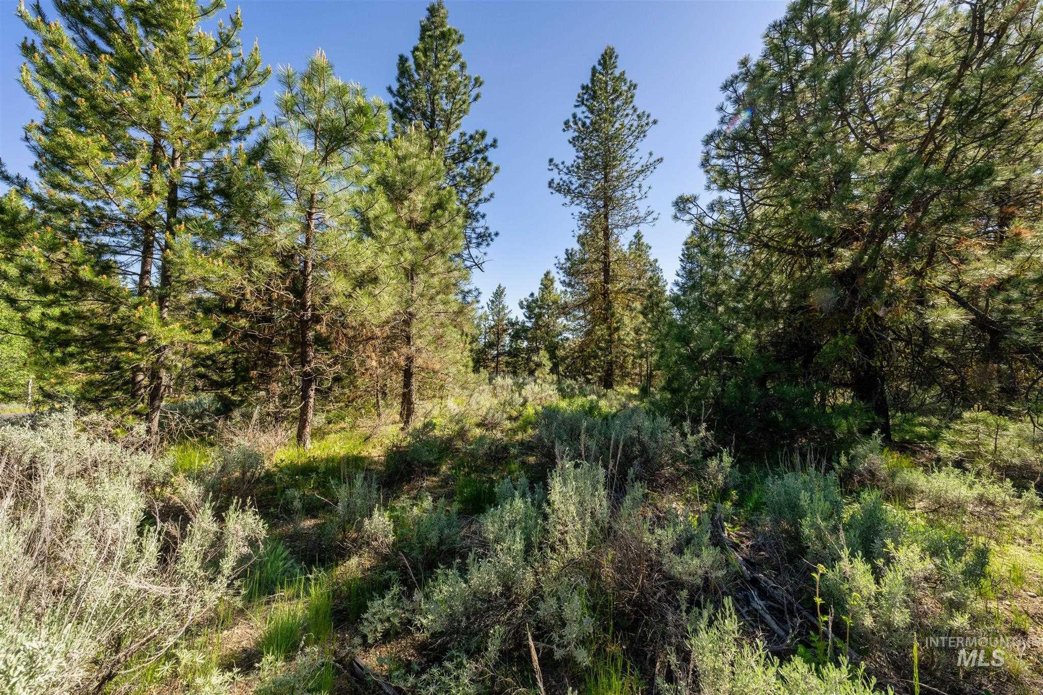110 Fawnlilly Property Photo 10