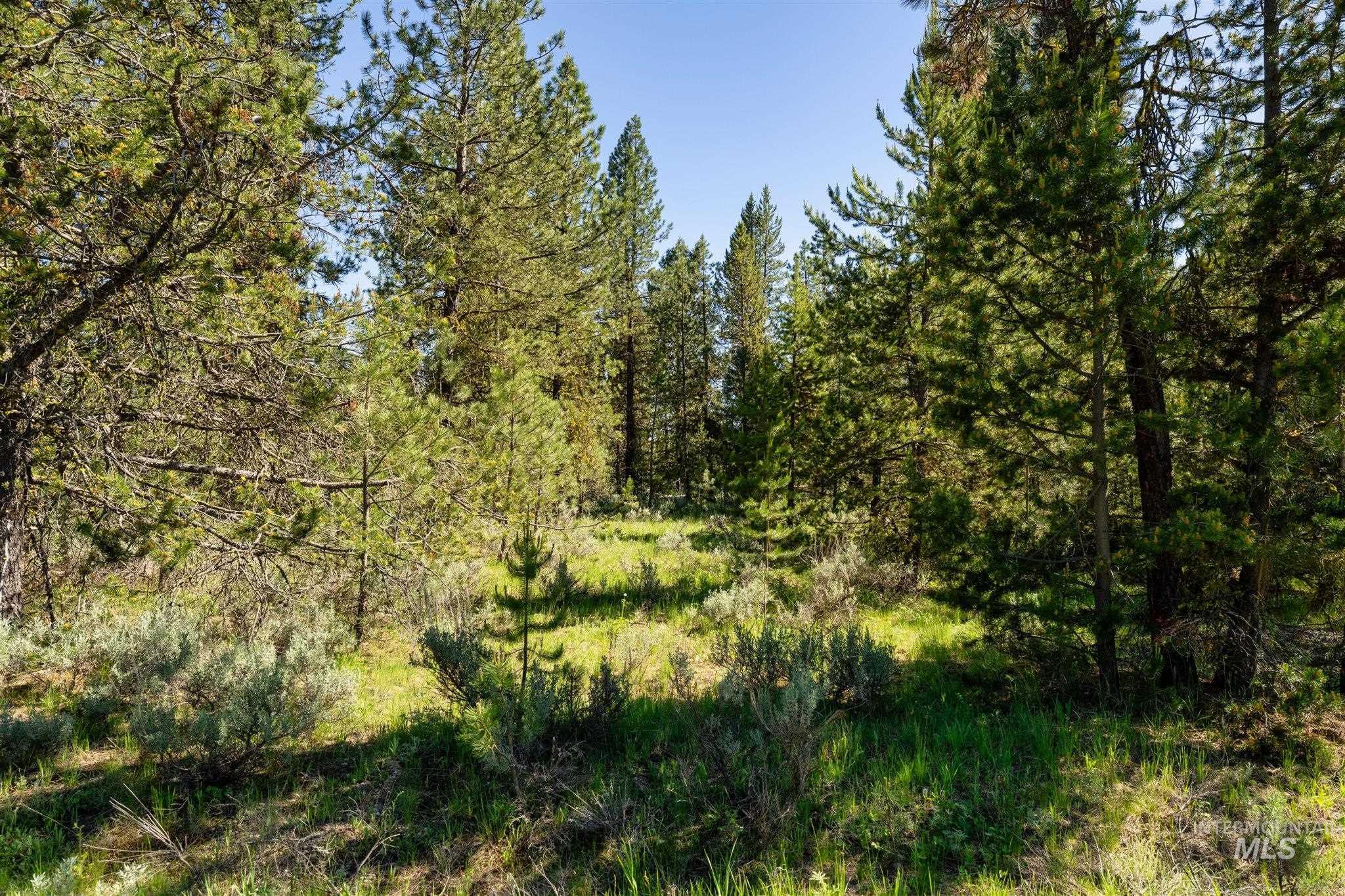 110 Fawnlilly Property Photo 11