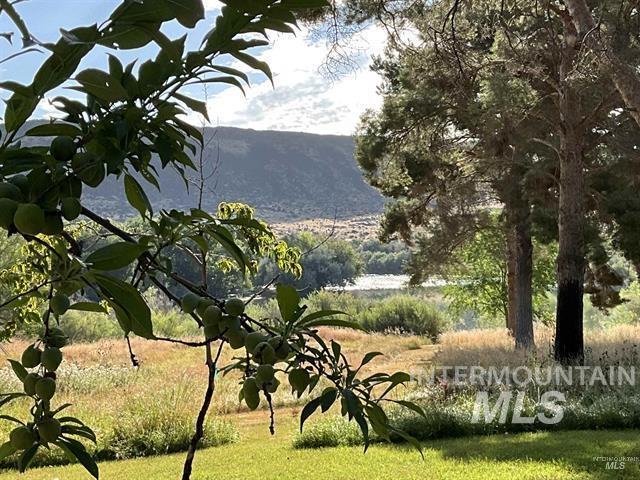 4778 River Road Property Photo 23