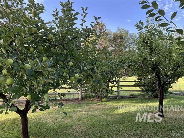 4778 River Road Property Photo 27