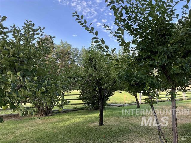 4778 River Road Property Photo 28