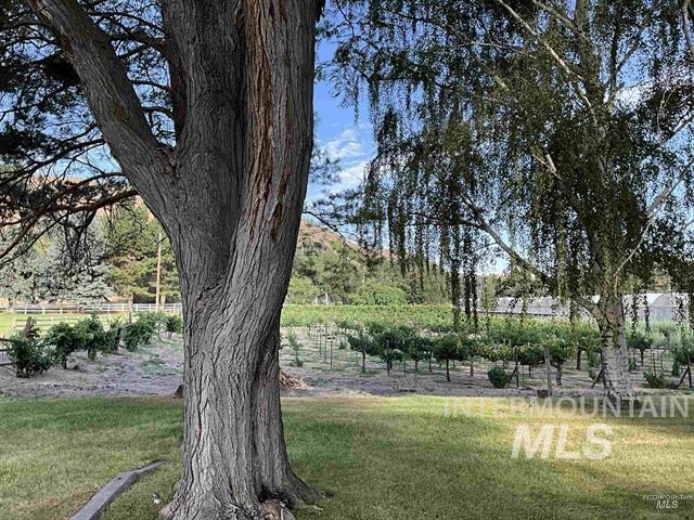 4778 River Road Property Photo 33