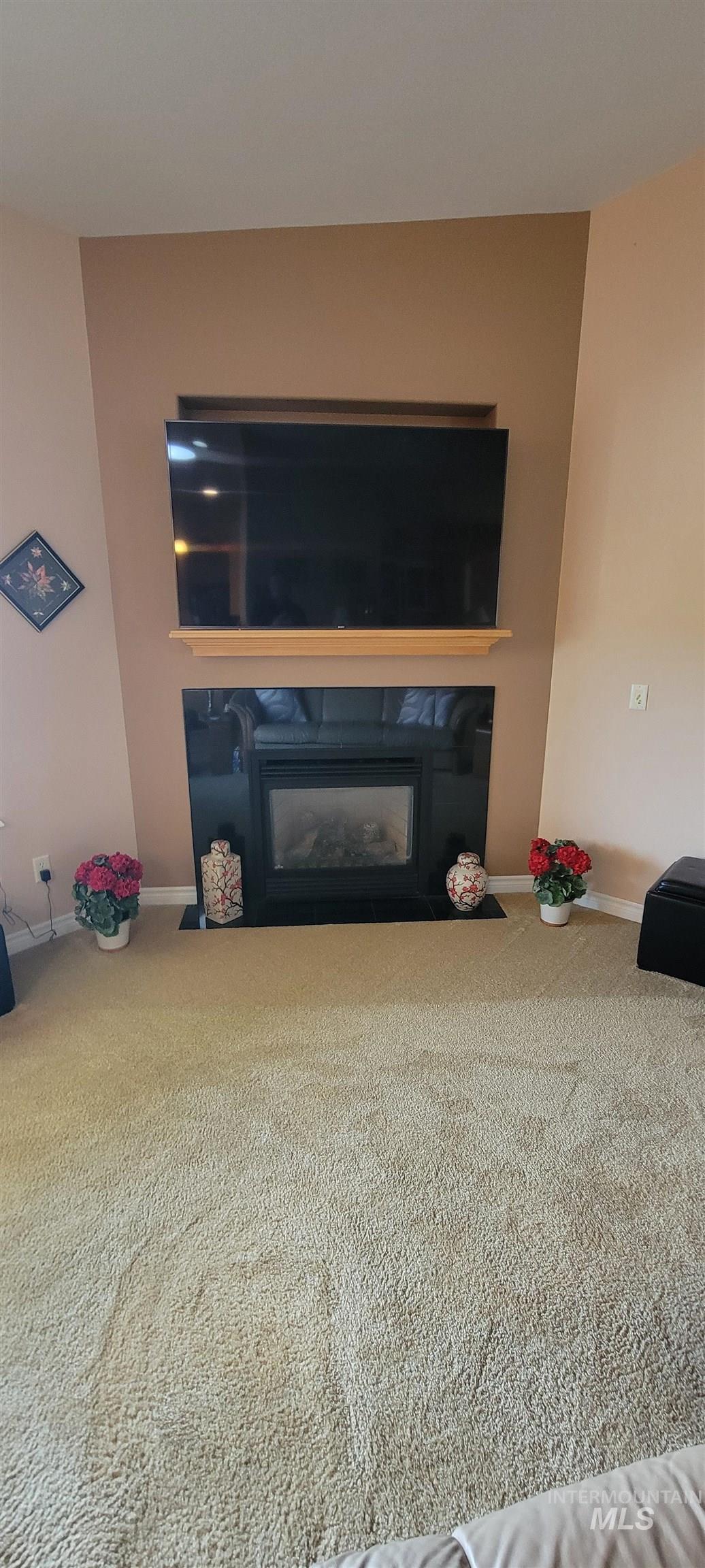910 Vineland Property Photo 41