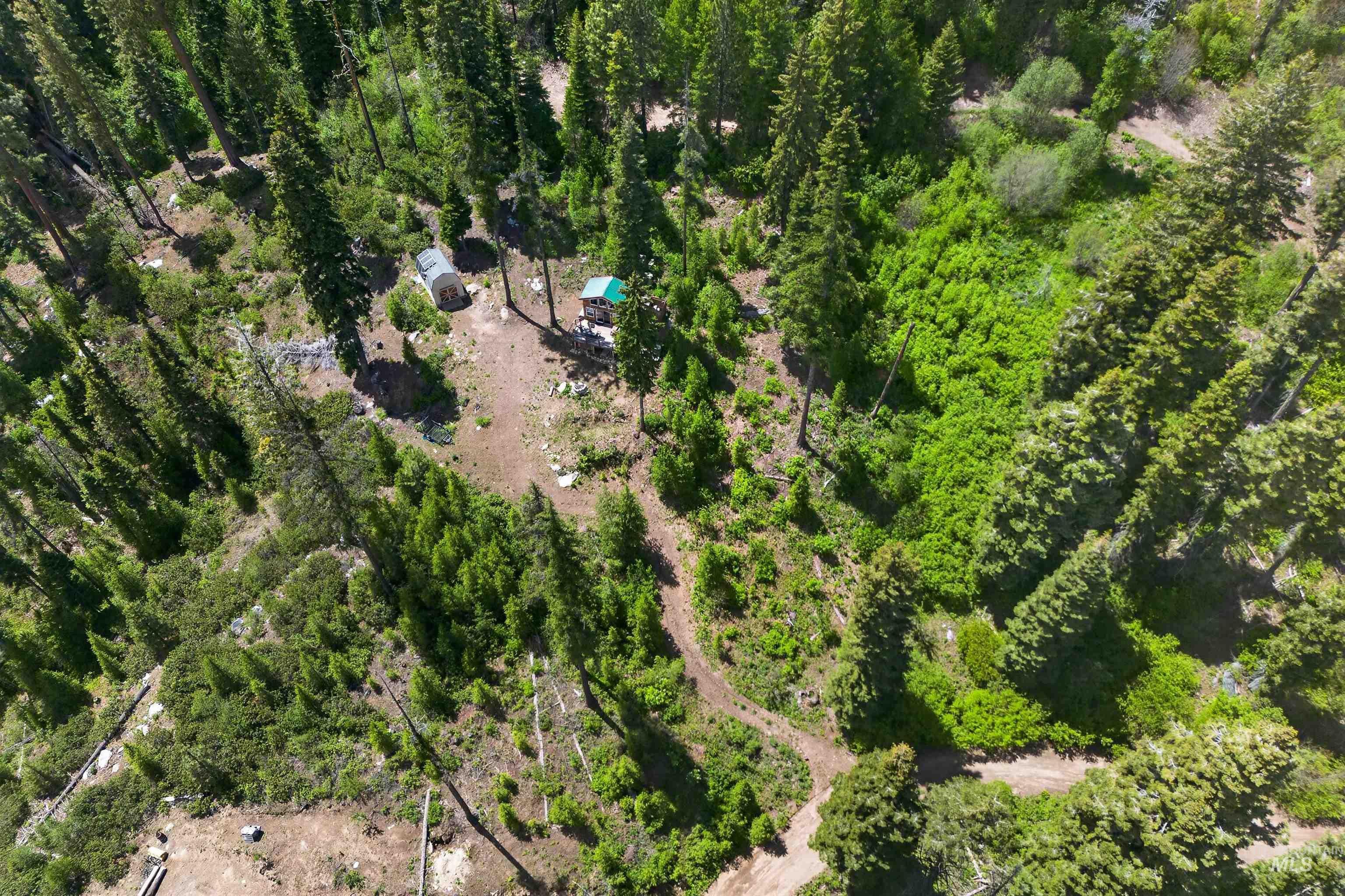 123 Arling Trail Property Photo 3