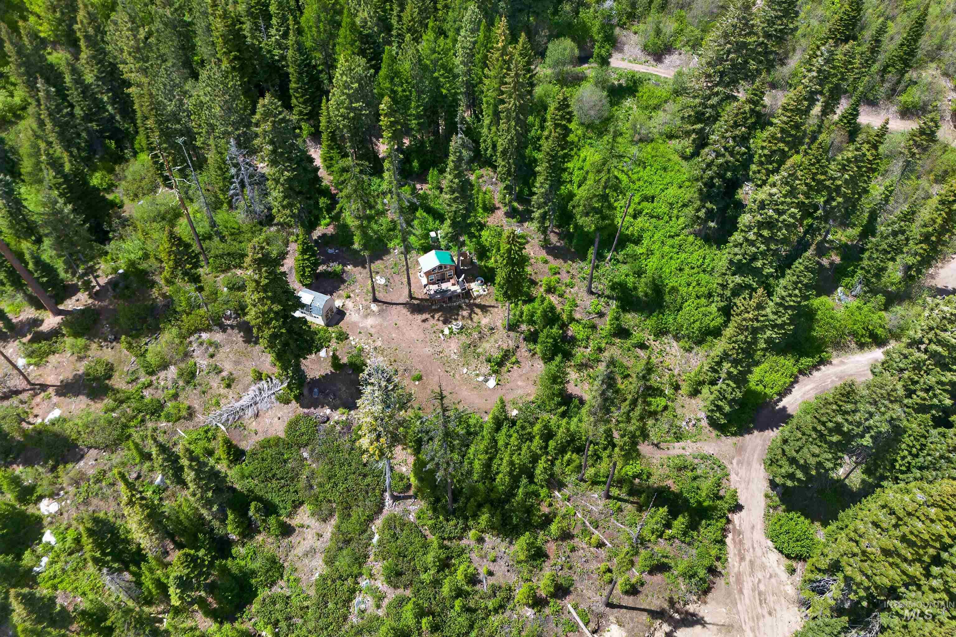 123 Arling Trail Property Photo 4