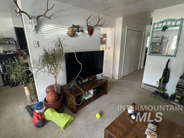 166 Crestview Drive Property Photo 6