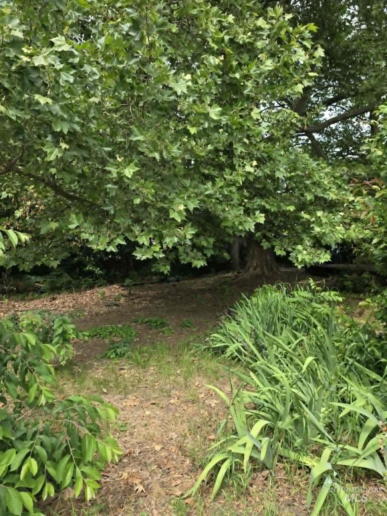 14016 Highway 12 Property Photo 27