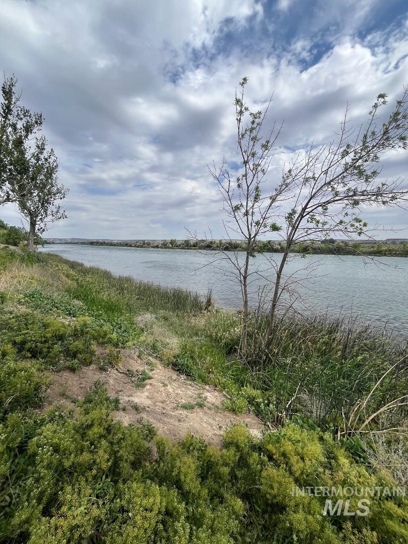 25798 River Road Property Photo 5