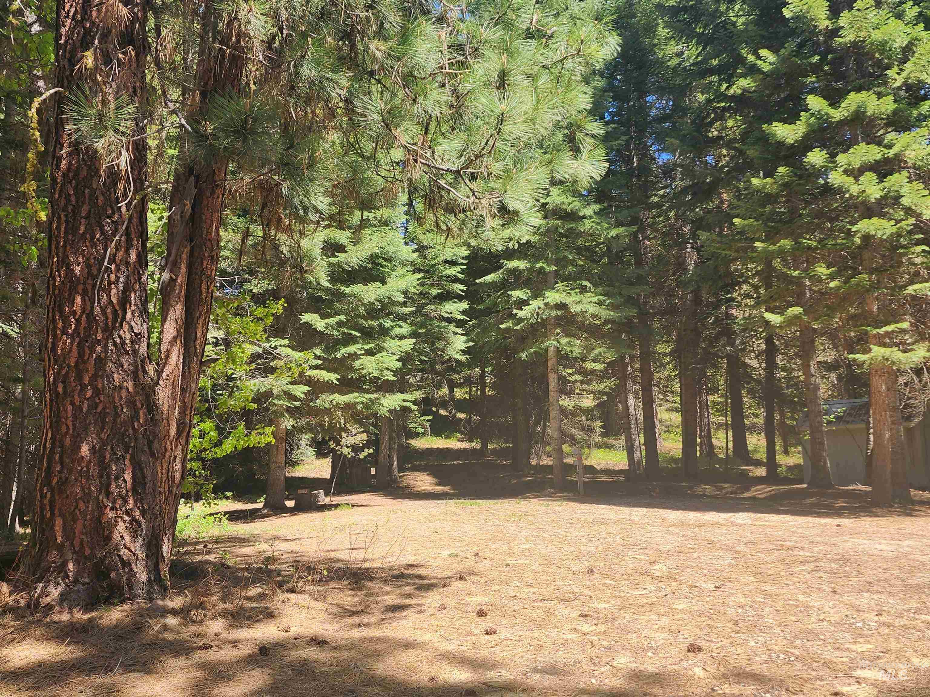9544 Packer John Rd Property Photo 1