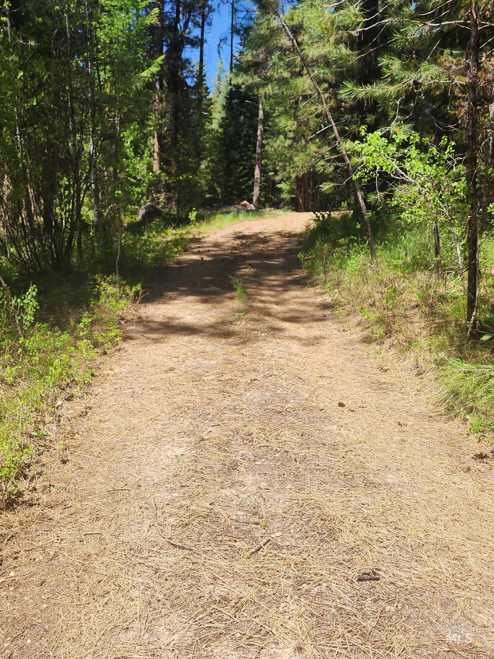 9544 Packer John Rd Property Photo 4