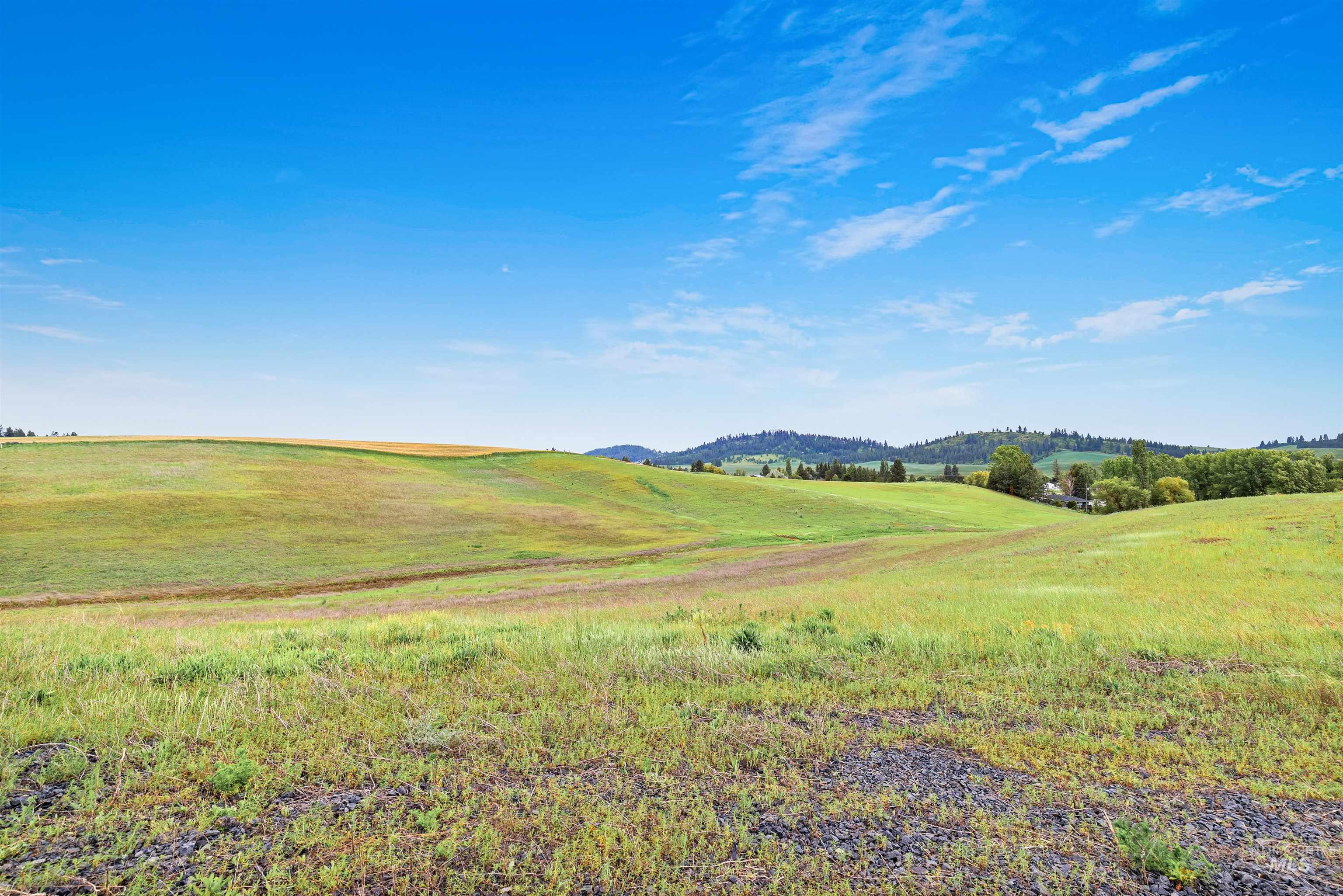 Tbd Reams Rd Property Photo 14