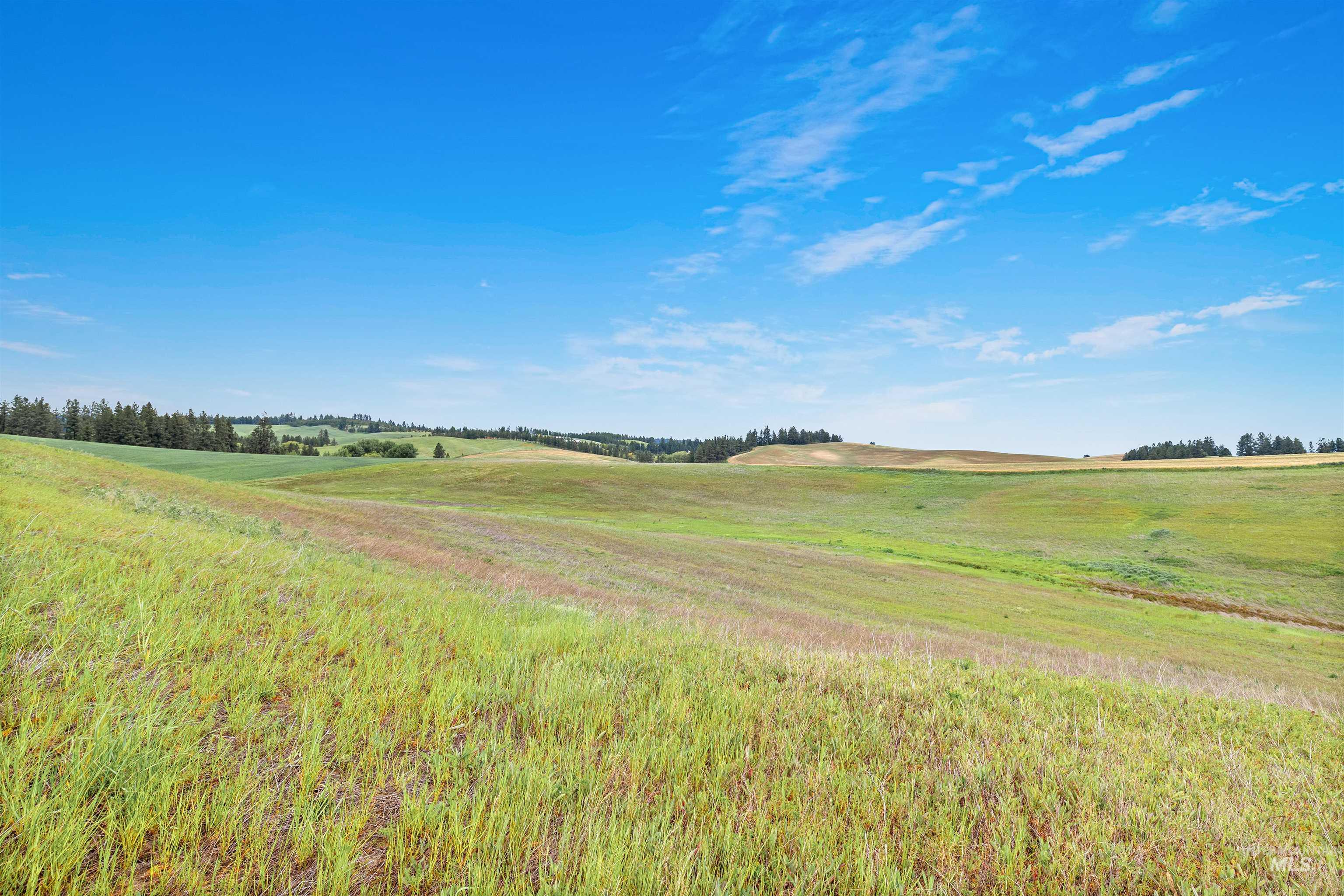 Tbd Reams Rd Property Photo 16